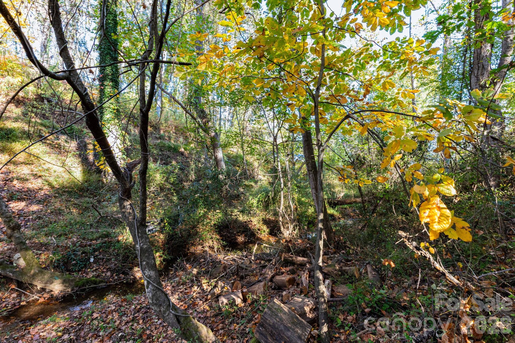 30 Waynesville Avenue — Asheville