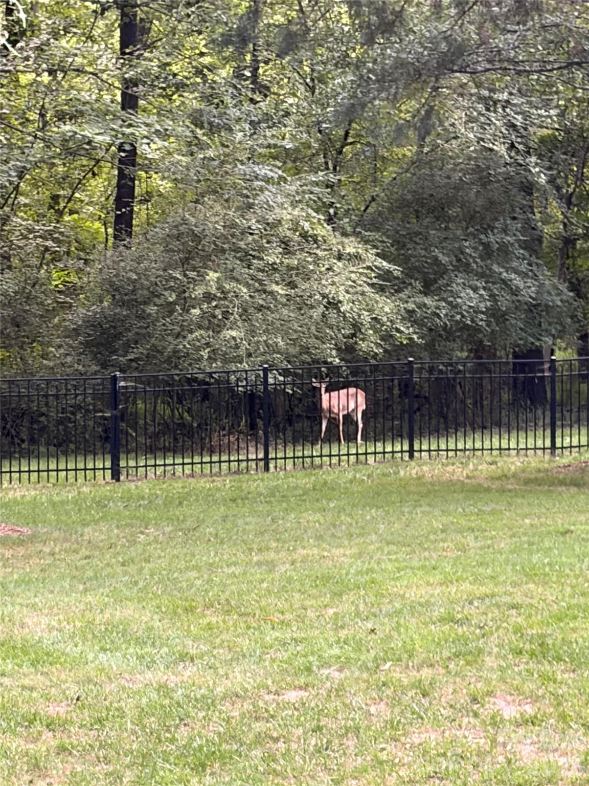 3013 Groves Edge Lane — Waxhaw