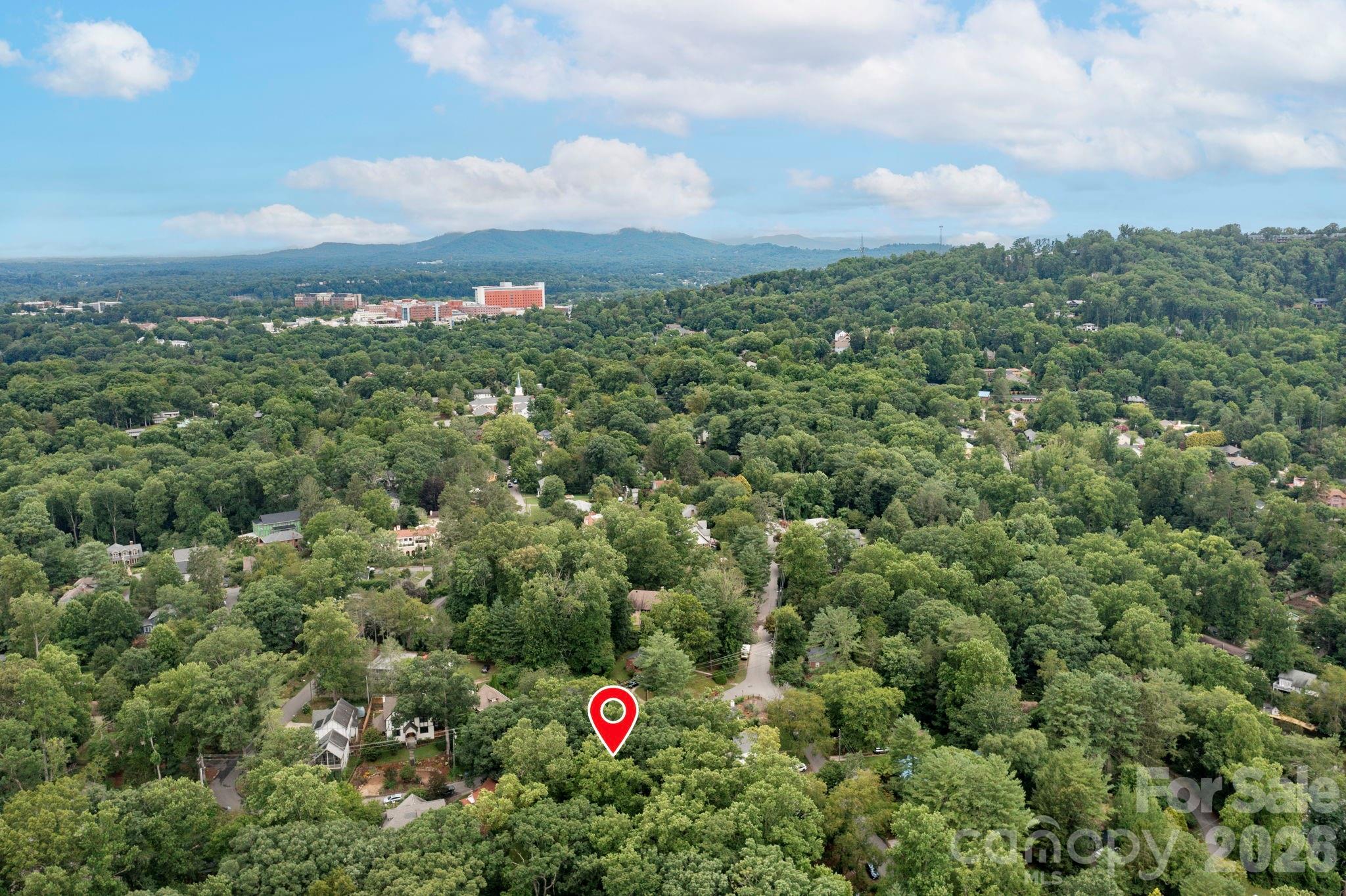 176 Chiles Avenue — Asheville