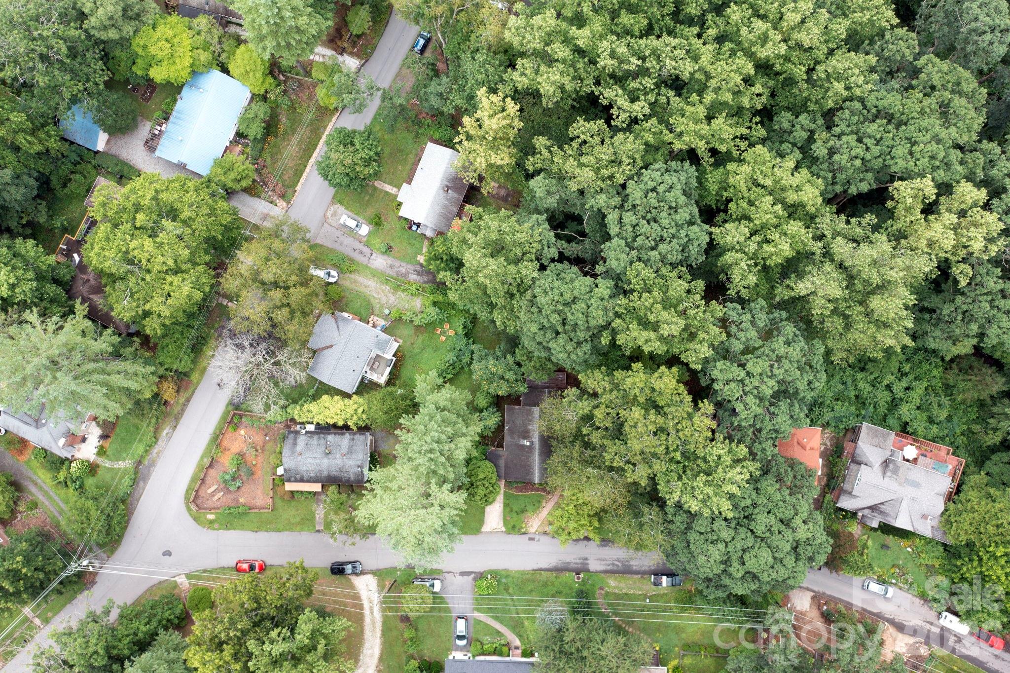176 Chiles Avenue — Asheville
