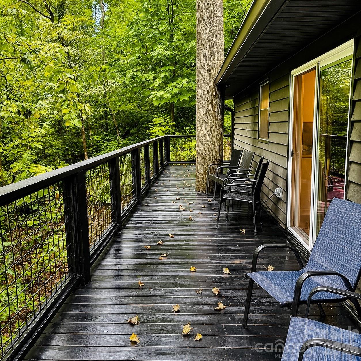 721 Bear Creek Lane — Saluda