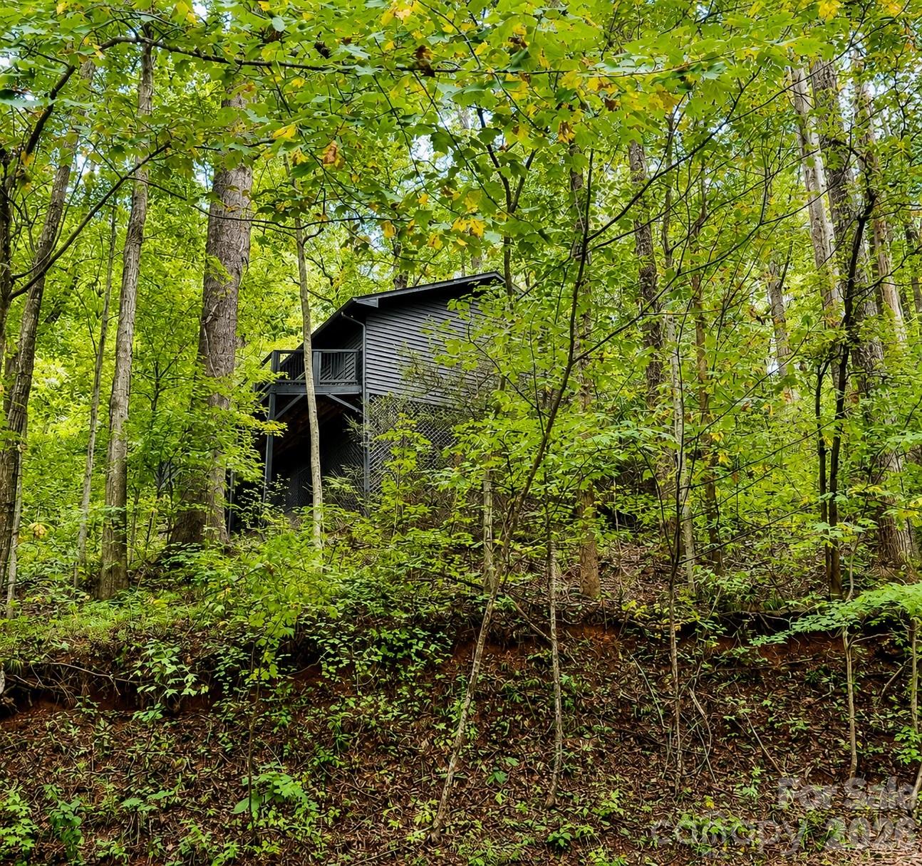 721 Bear Creek Lane — Saluda