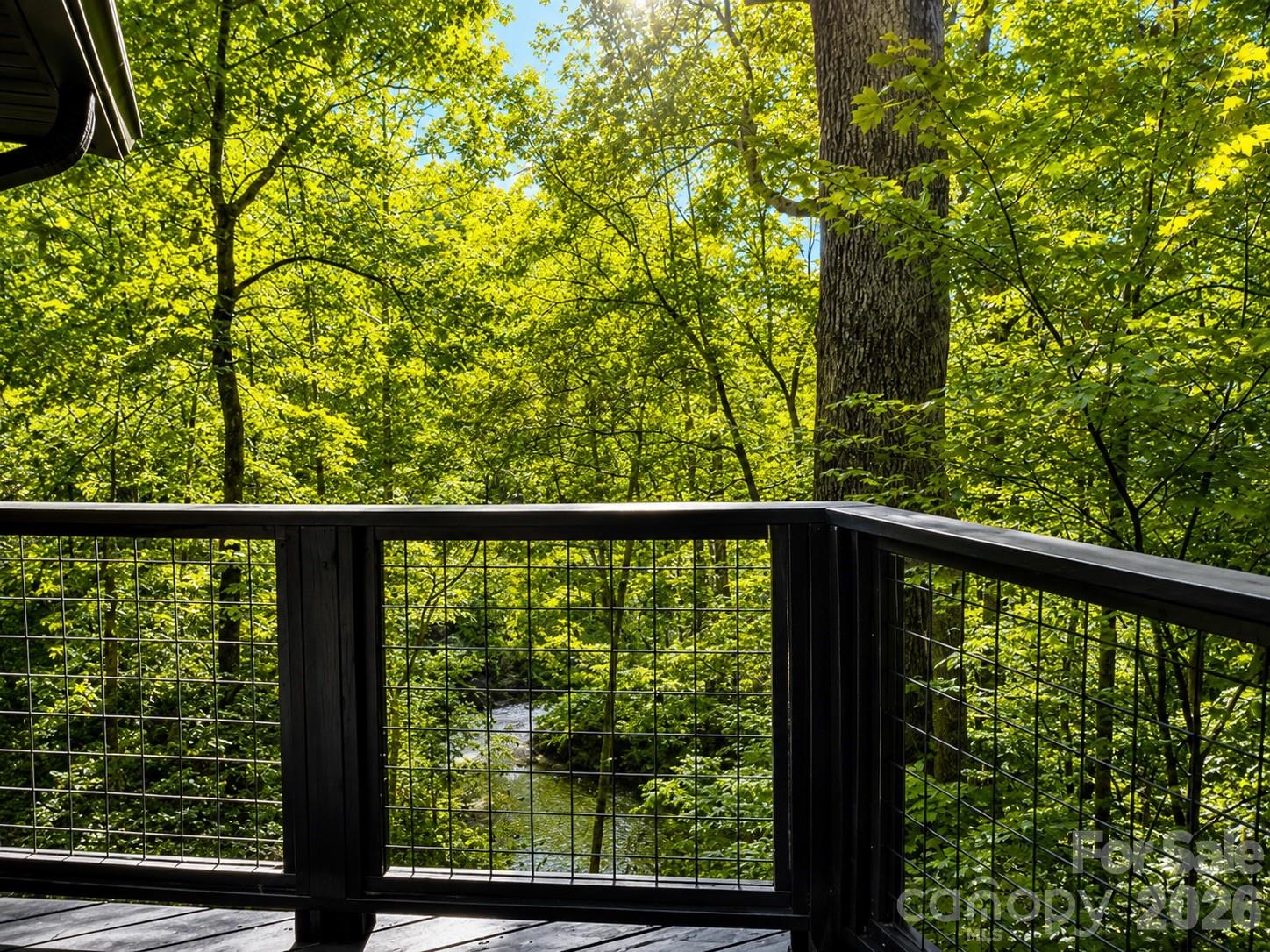 721 Bear Creek Lane — Saluda