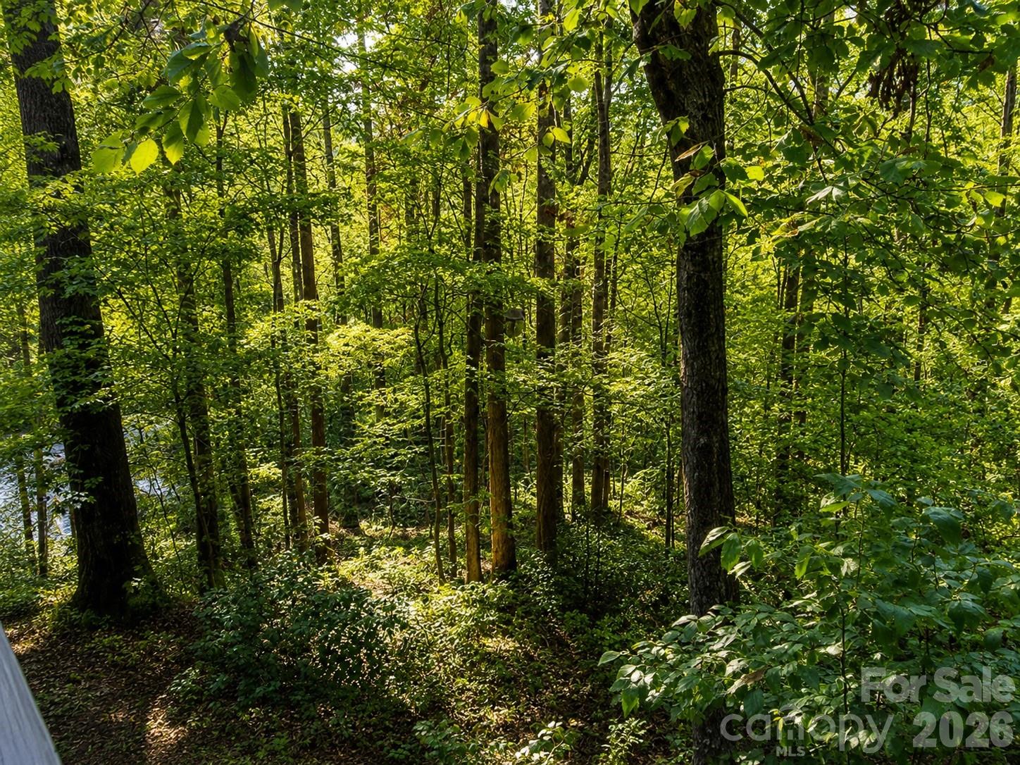 721 Bear Creek Lane — Saluda