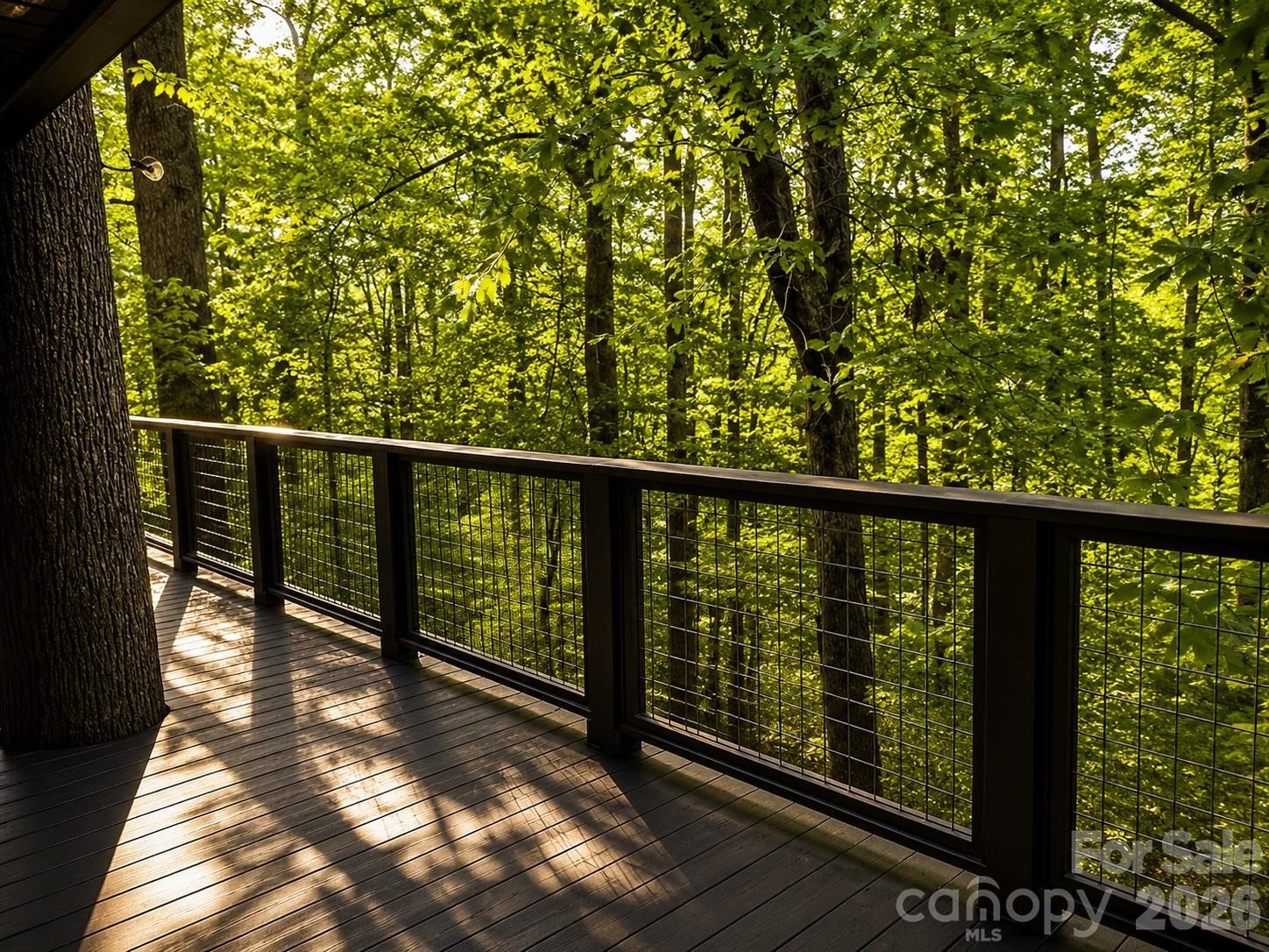 721 Bear Creek Lane — Saluda