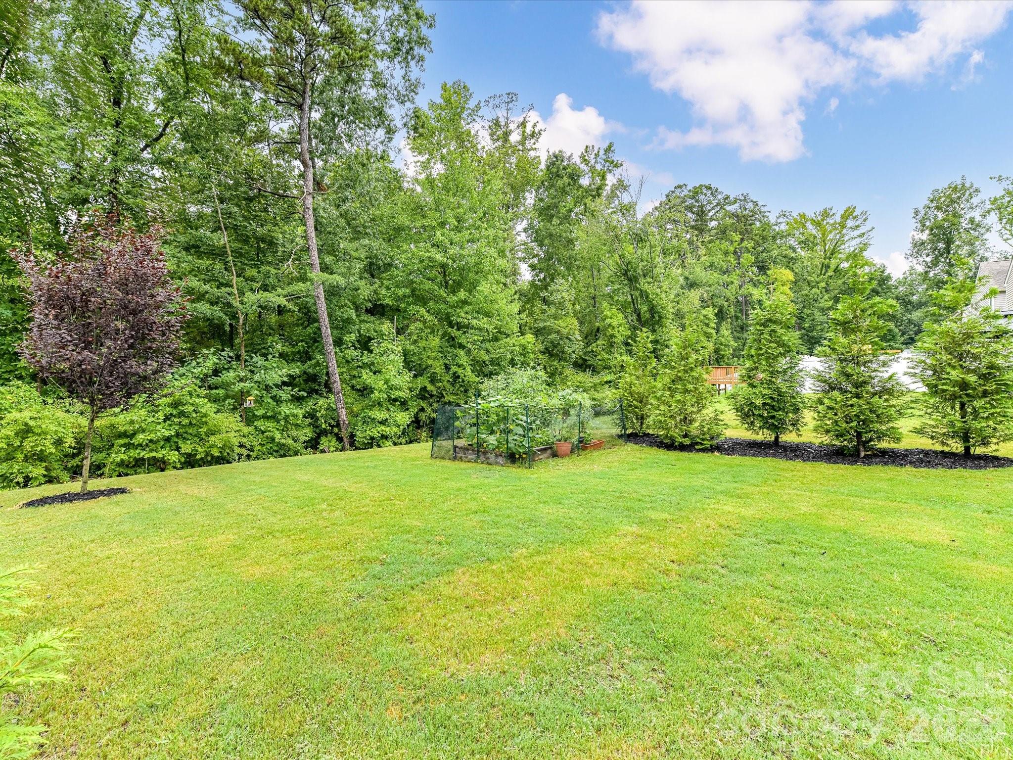 724 Larmore Avenue — Charlotte