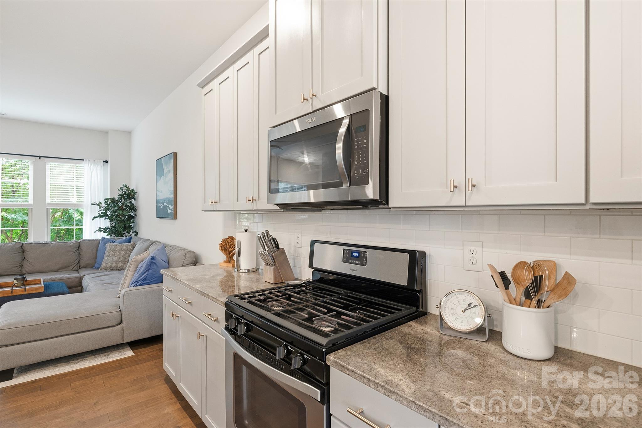 9320 Ainslie Downs Street — Charlotte