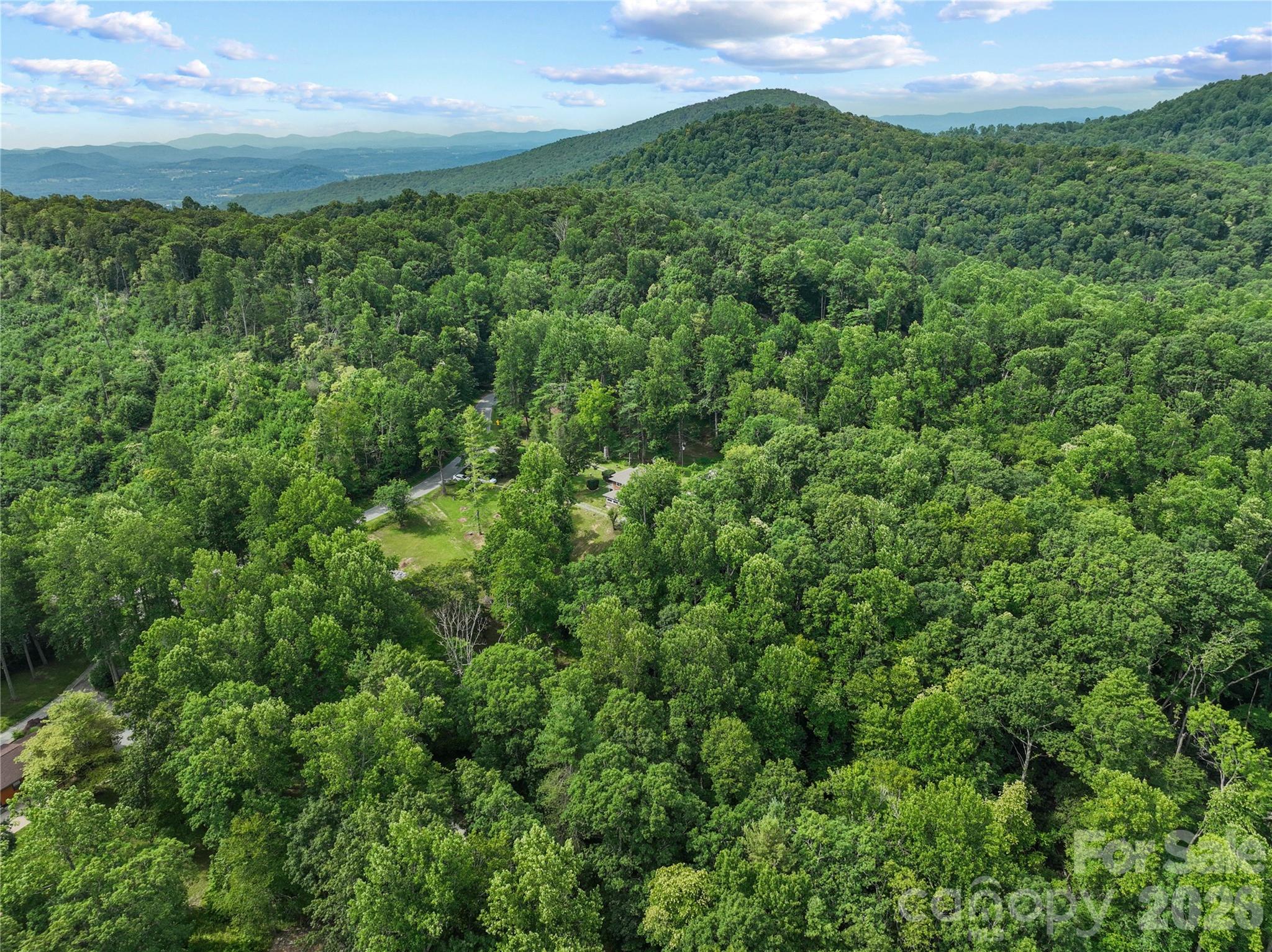 3151 N Bearwallow Road — Hendersonville