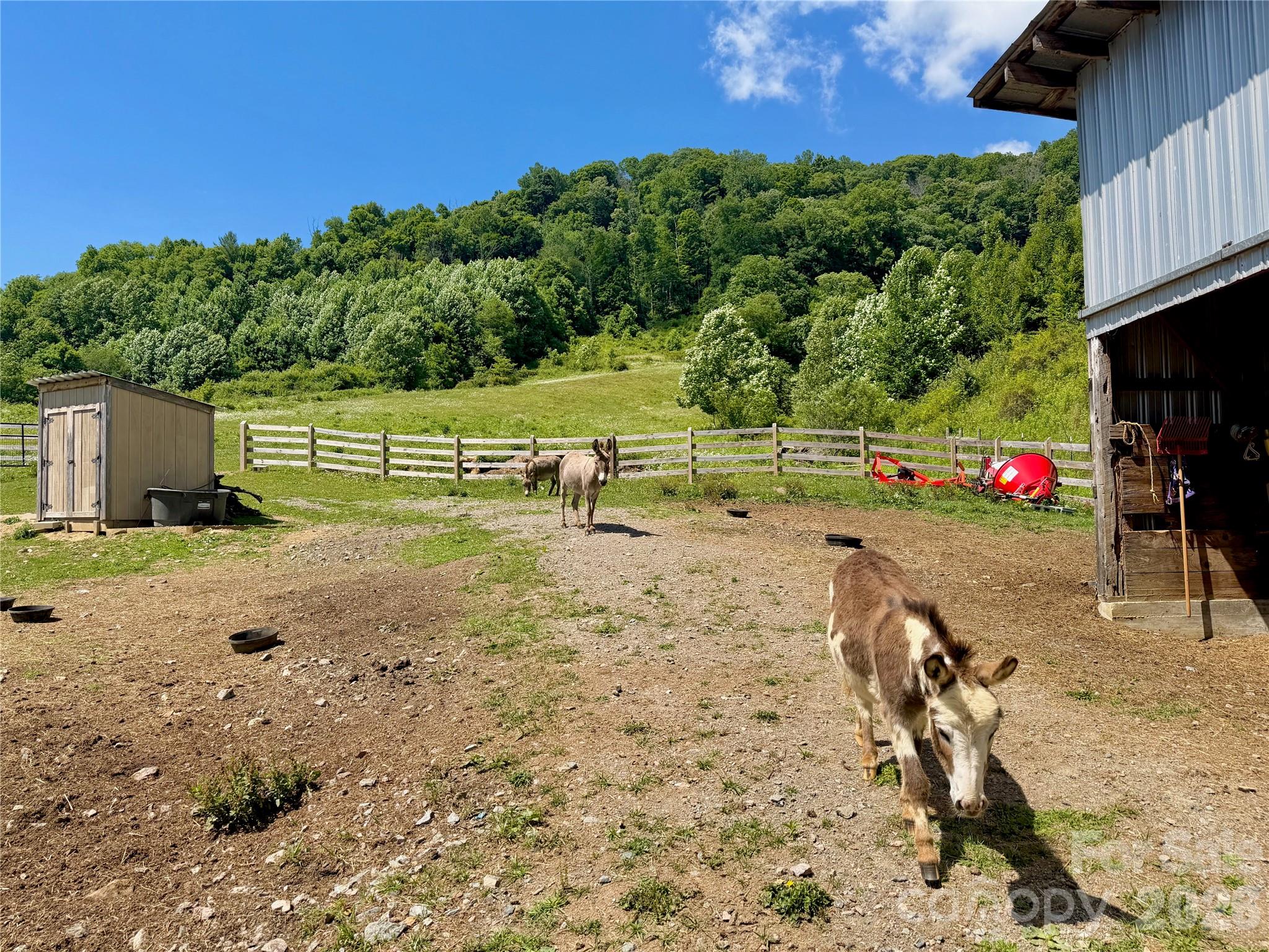 419 Fletcher Branch Road — Vilas