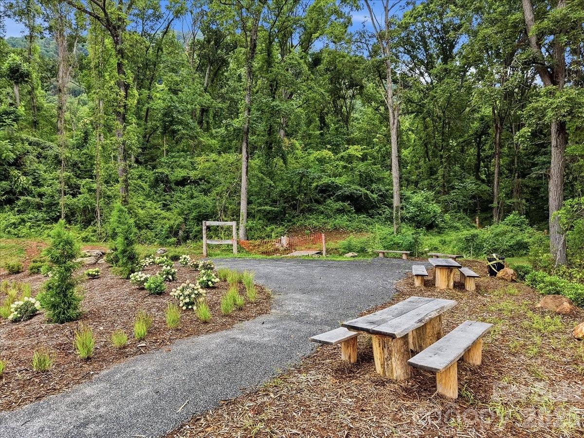 235 Smokey Holler Drive — Asheville