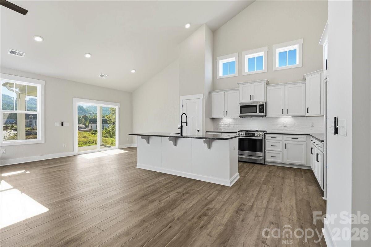 235 Smokey Holler Drive — Asheville