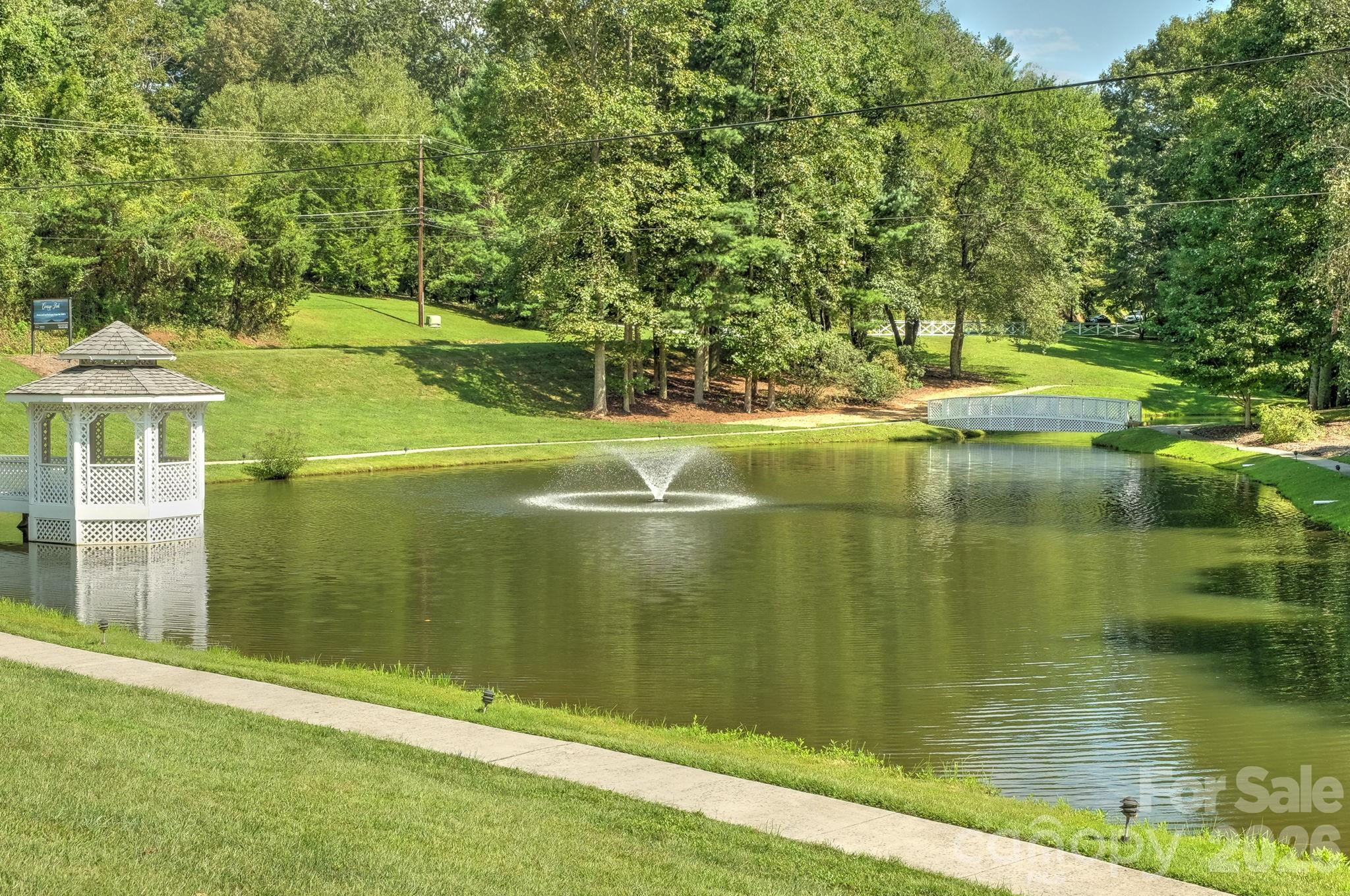 77 Carriage West Drive — Hendersonville