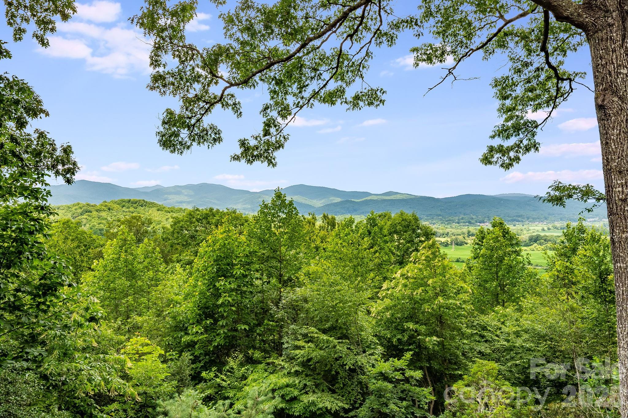 99 Oak Ridge Road — Pisgah Forest