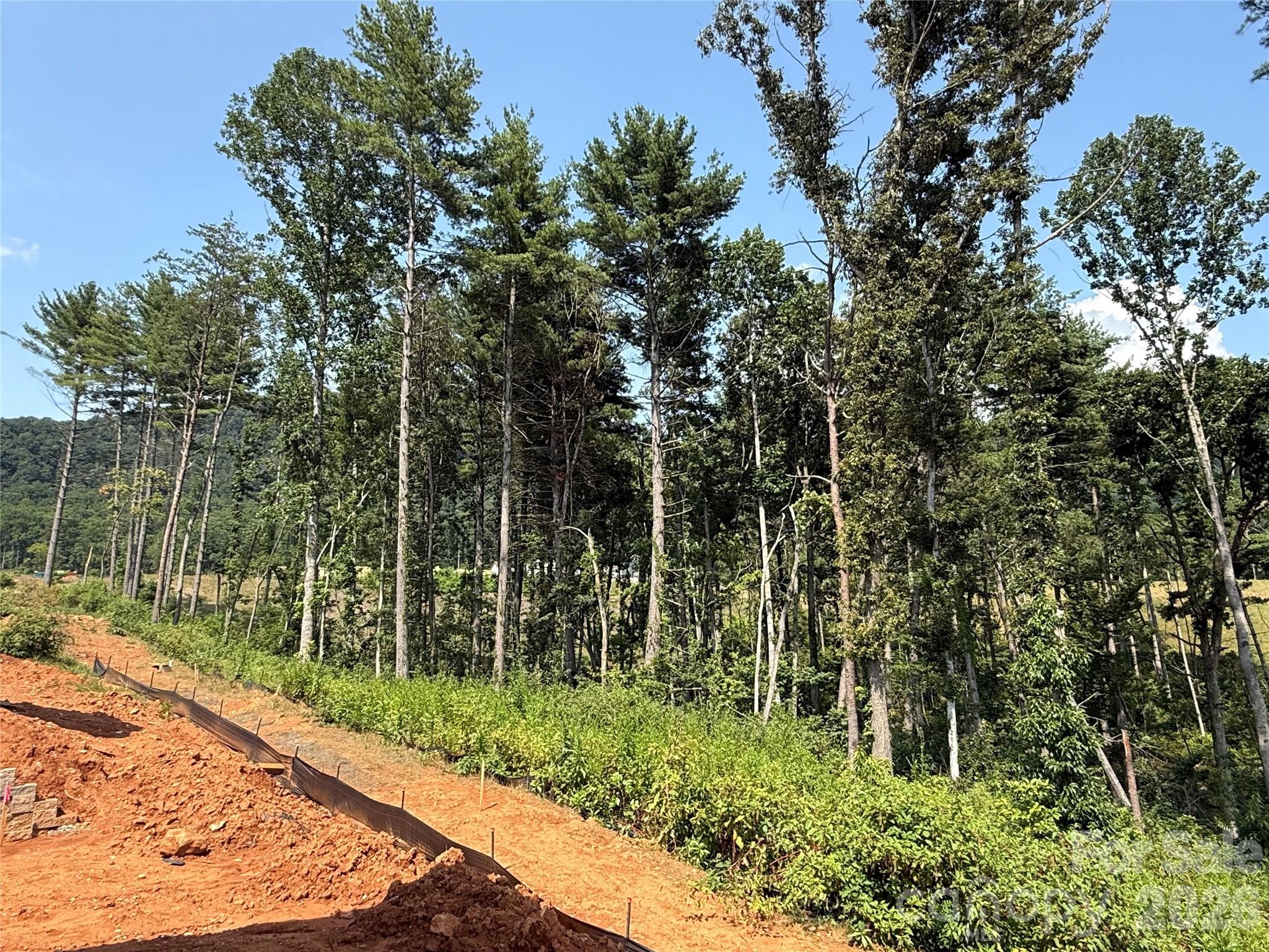 237 Smokey Holler Drive — Asheville
