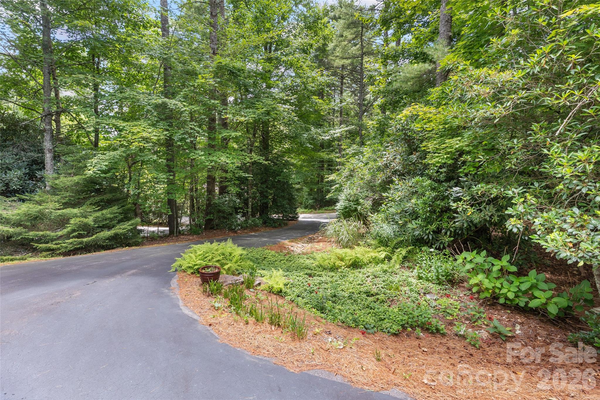 141 Dolly Lane — Highlands