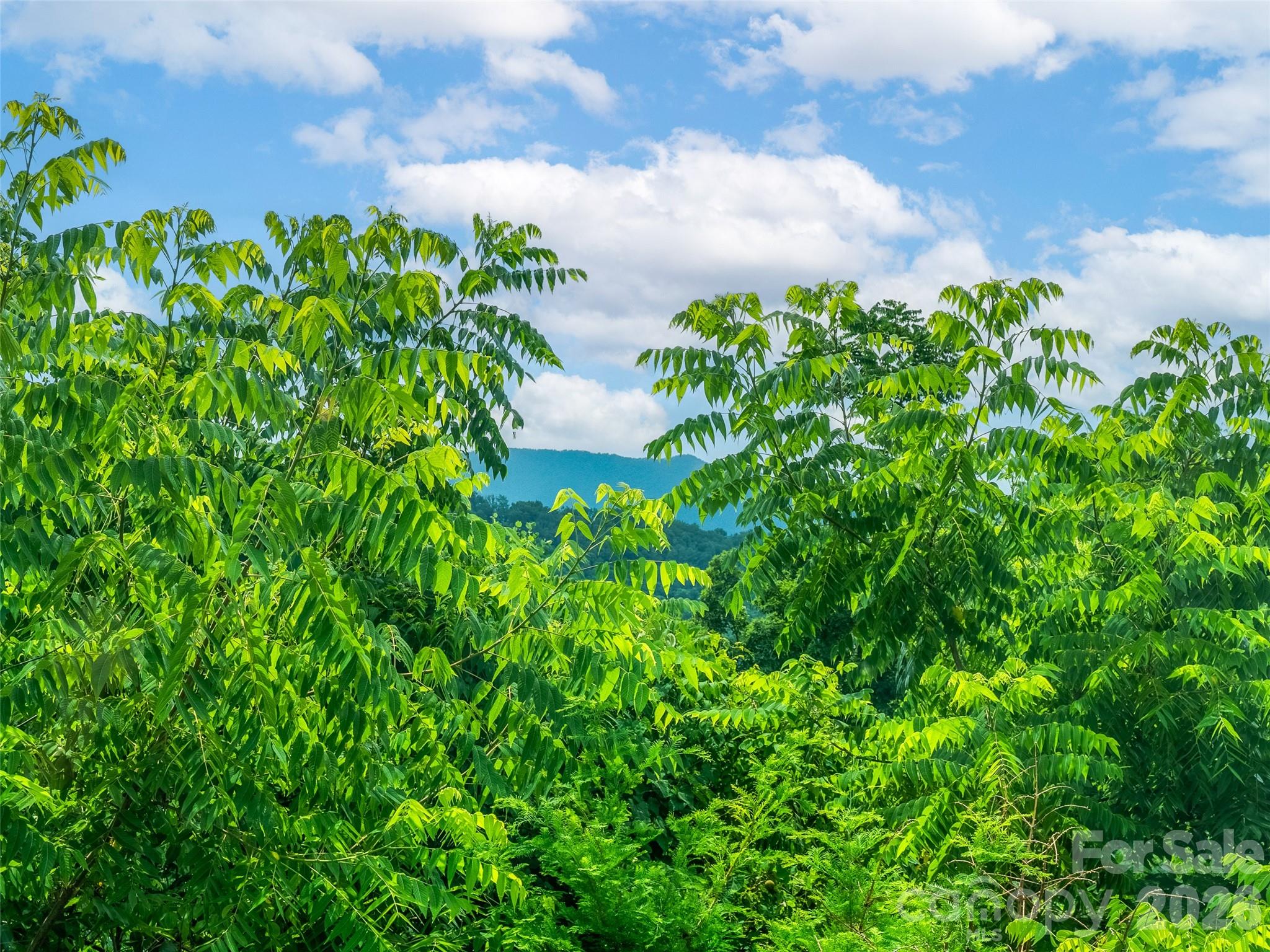 647 Town Mountain Road #309 — Asheville