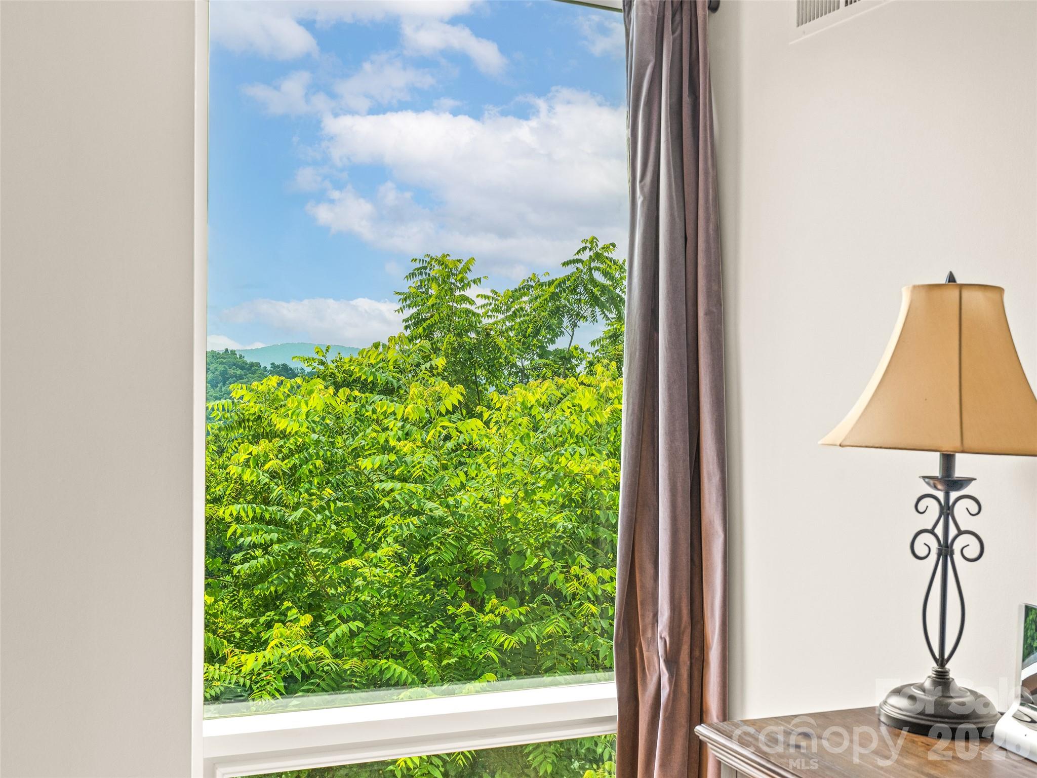 647 Town Mountain Road #309 — Asheville