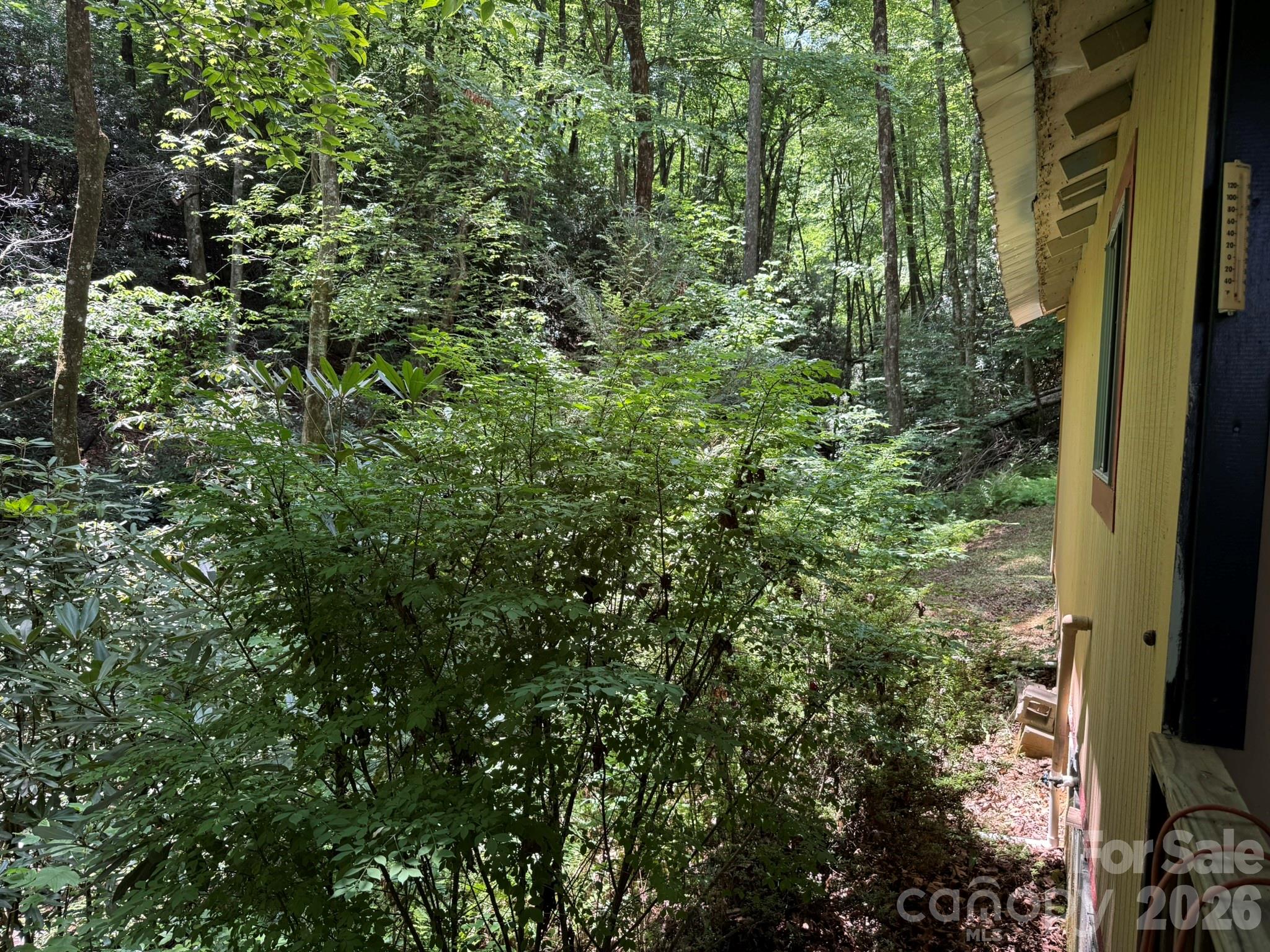 181 Lyman Lane — Rosman