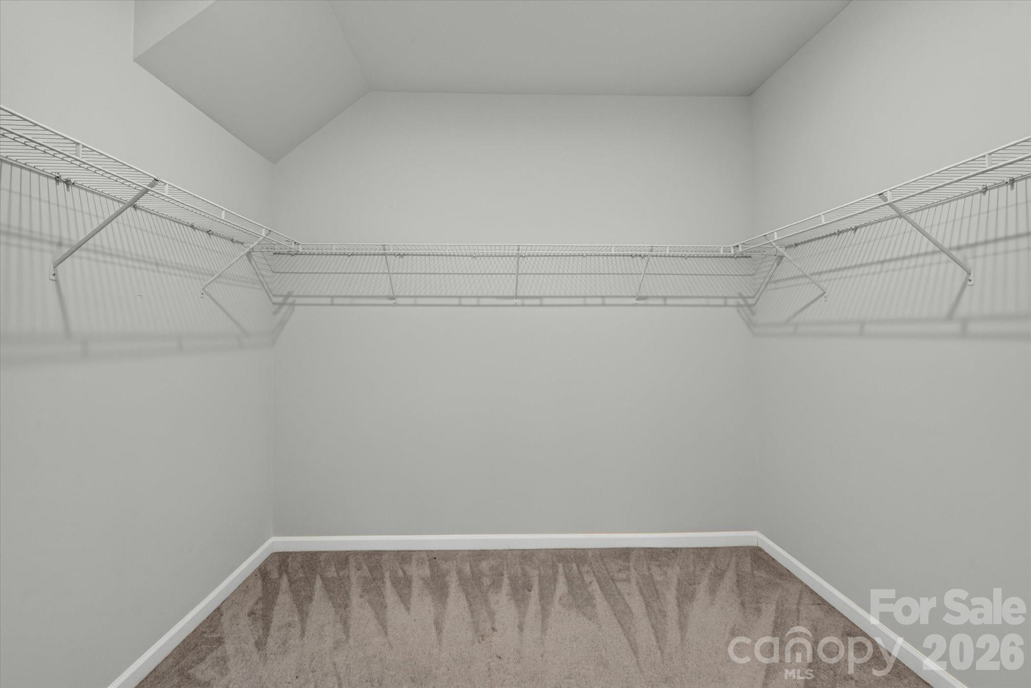 14016 Southbridge Forest Drive — Charlotte