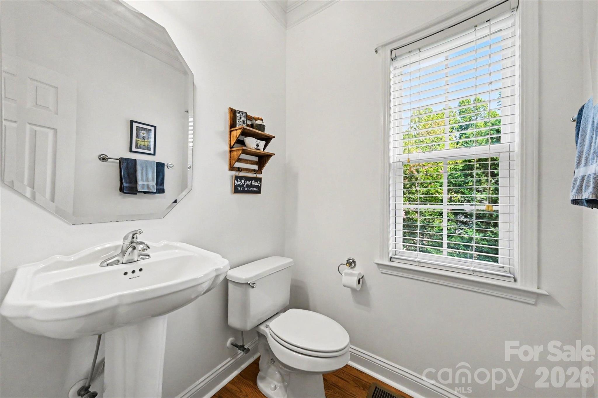 119 Egrets Walk Place — Mooresville