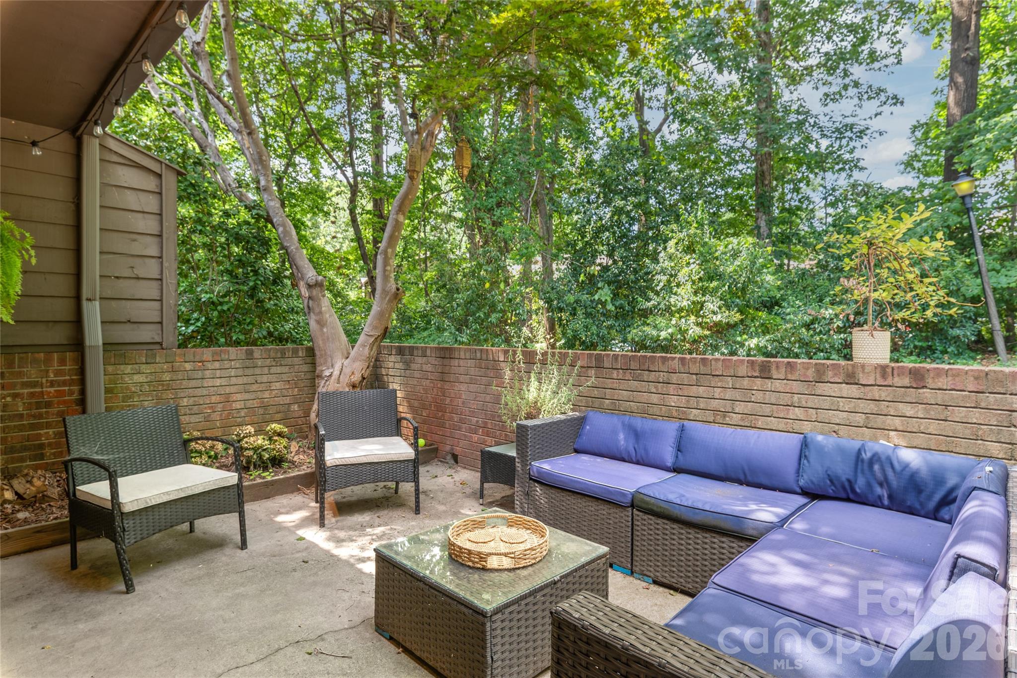 3538 Colony Crossing Drive — Charlotte