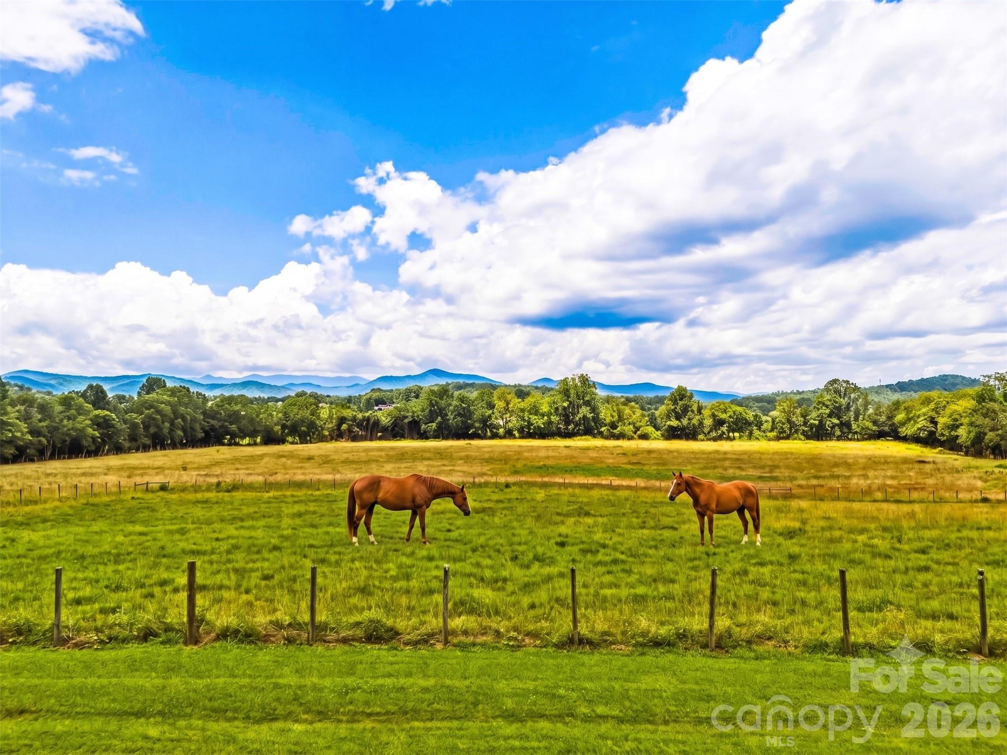 280 Walnut Hollow Road — Brevard