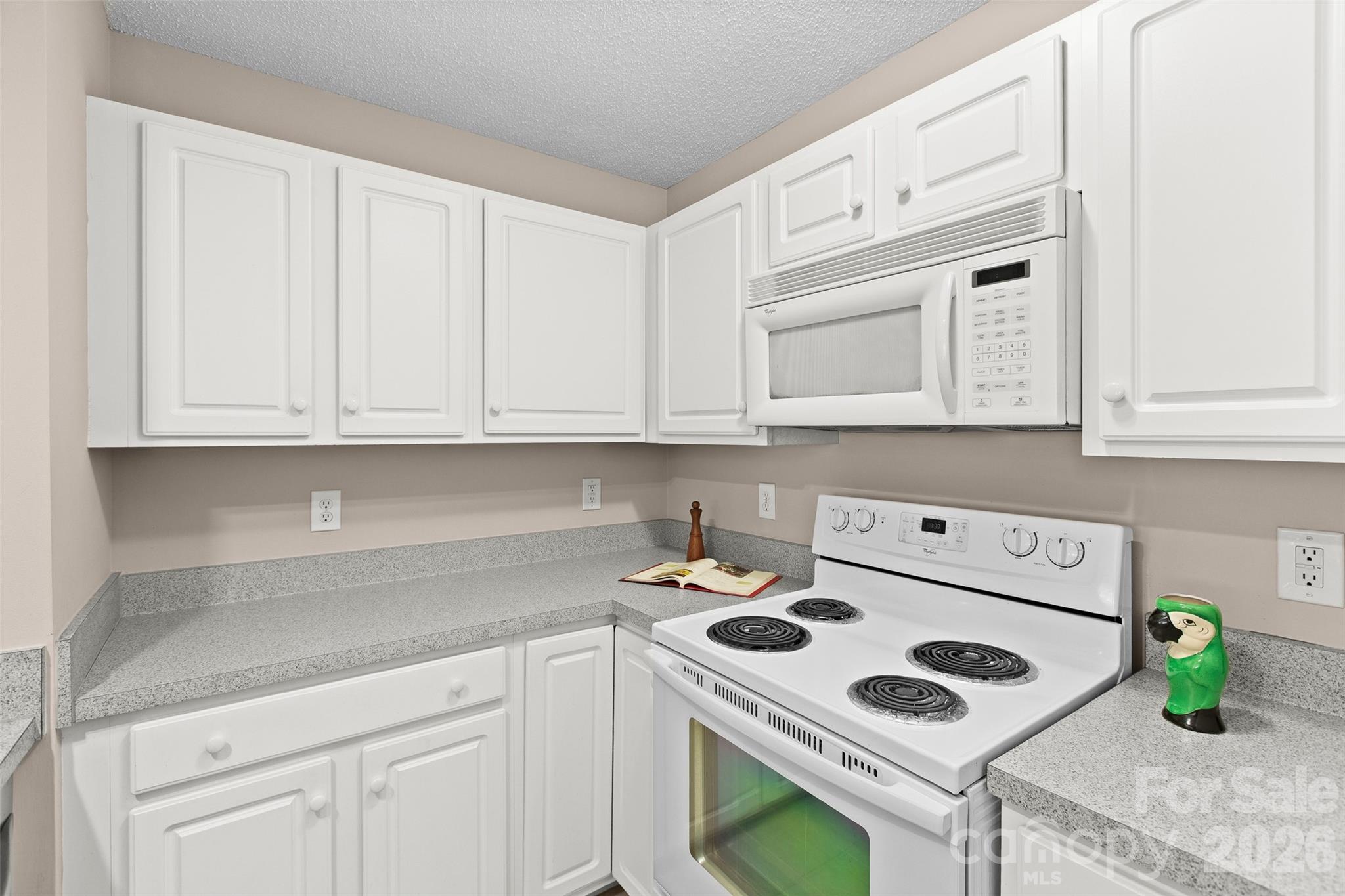 221 Timberline Ridge Court — Winston Salem