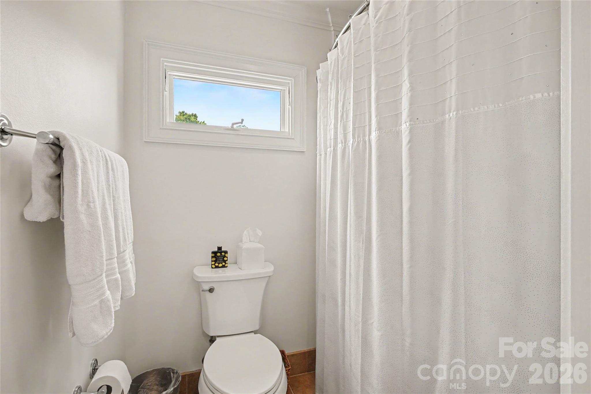 21300 Blakely Shores Drive — Cornelius