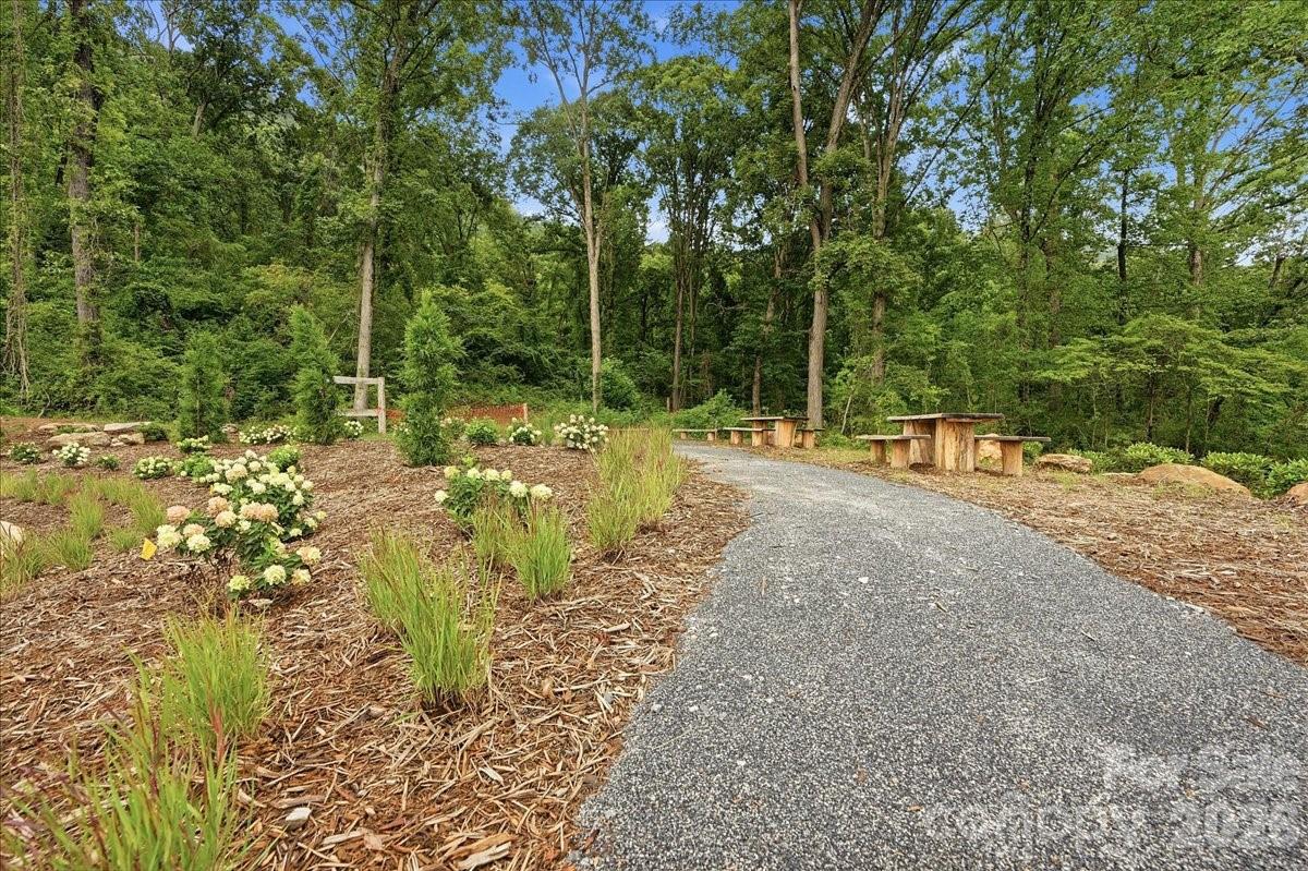 234 Smokey Holler Drive — Asheville