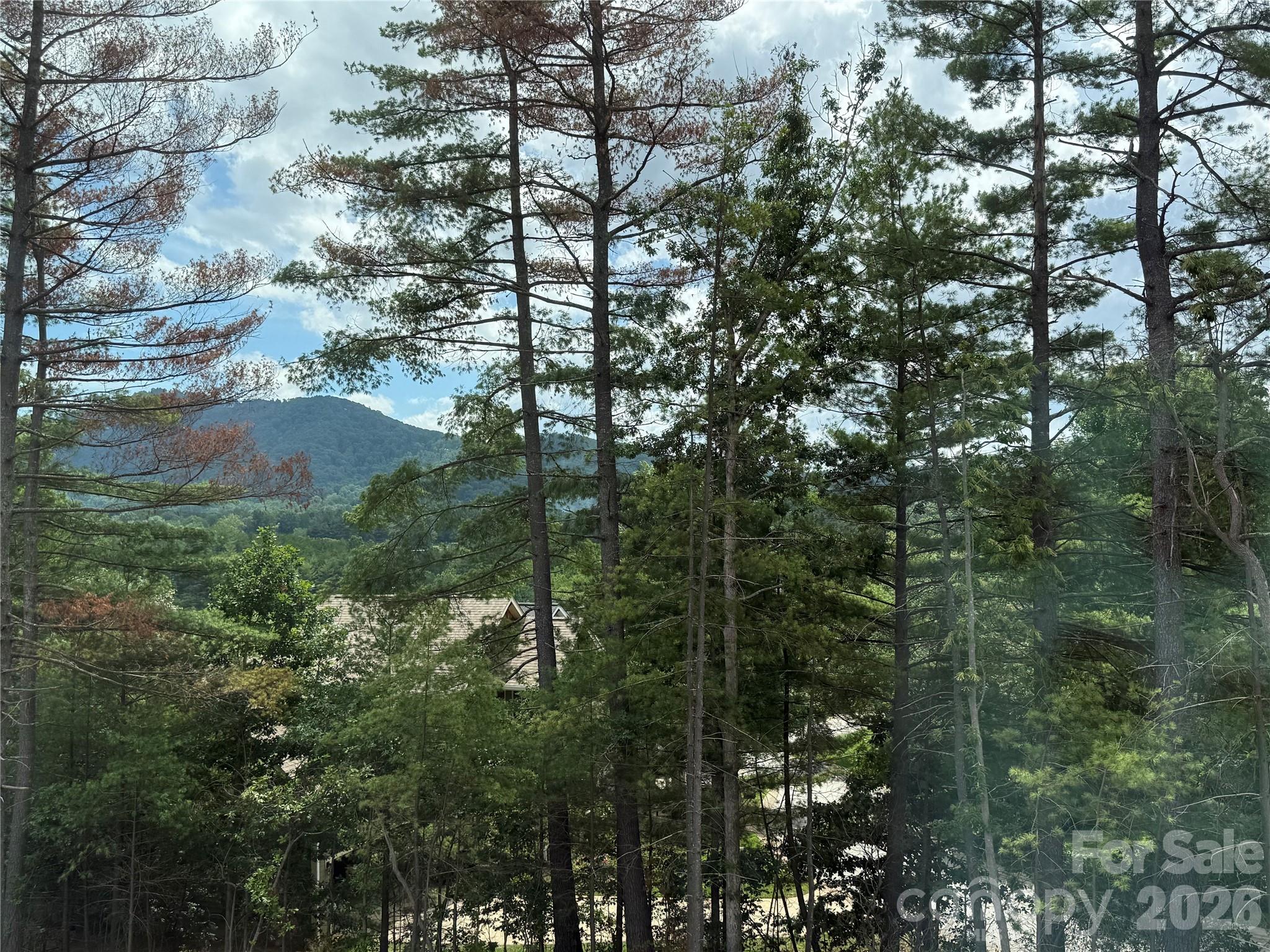 234 Smokey Holler Drive — Asheville