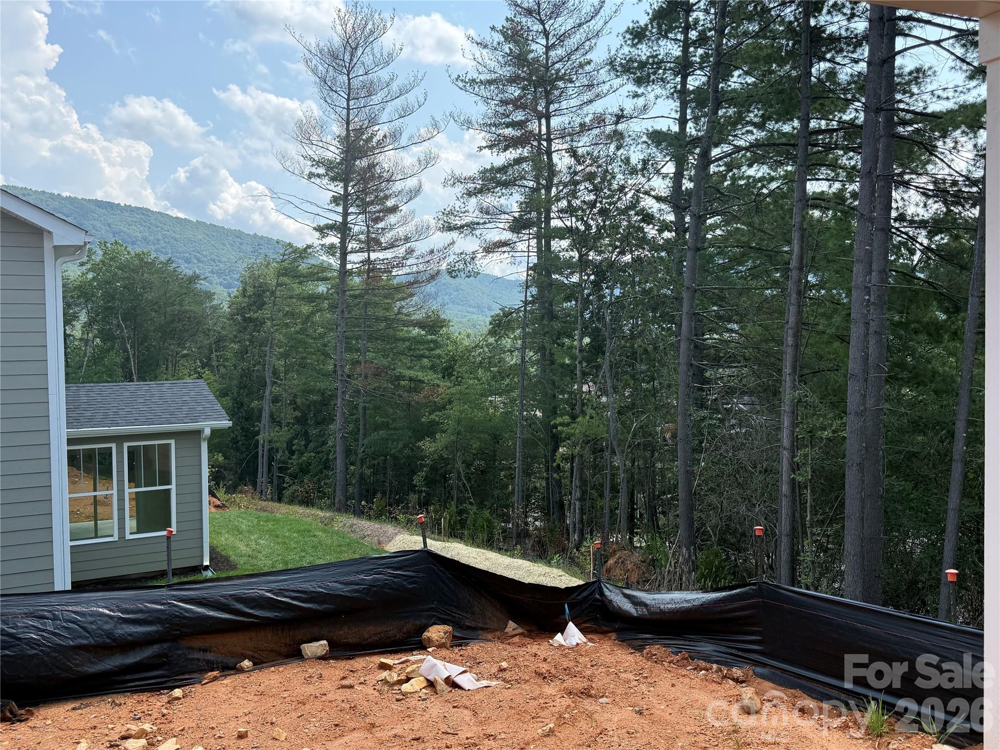 236 Smokey Holler Drive — Asheville