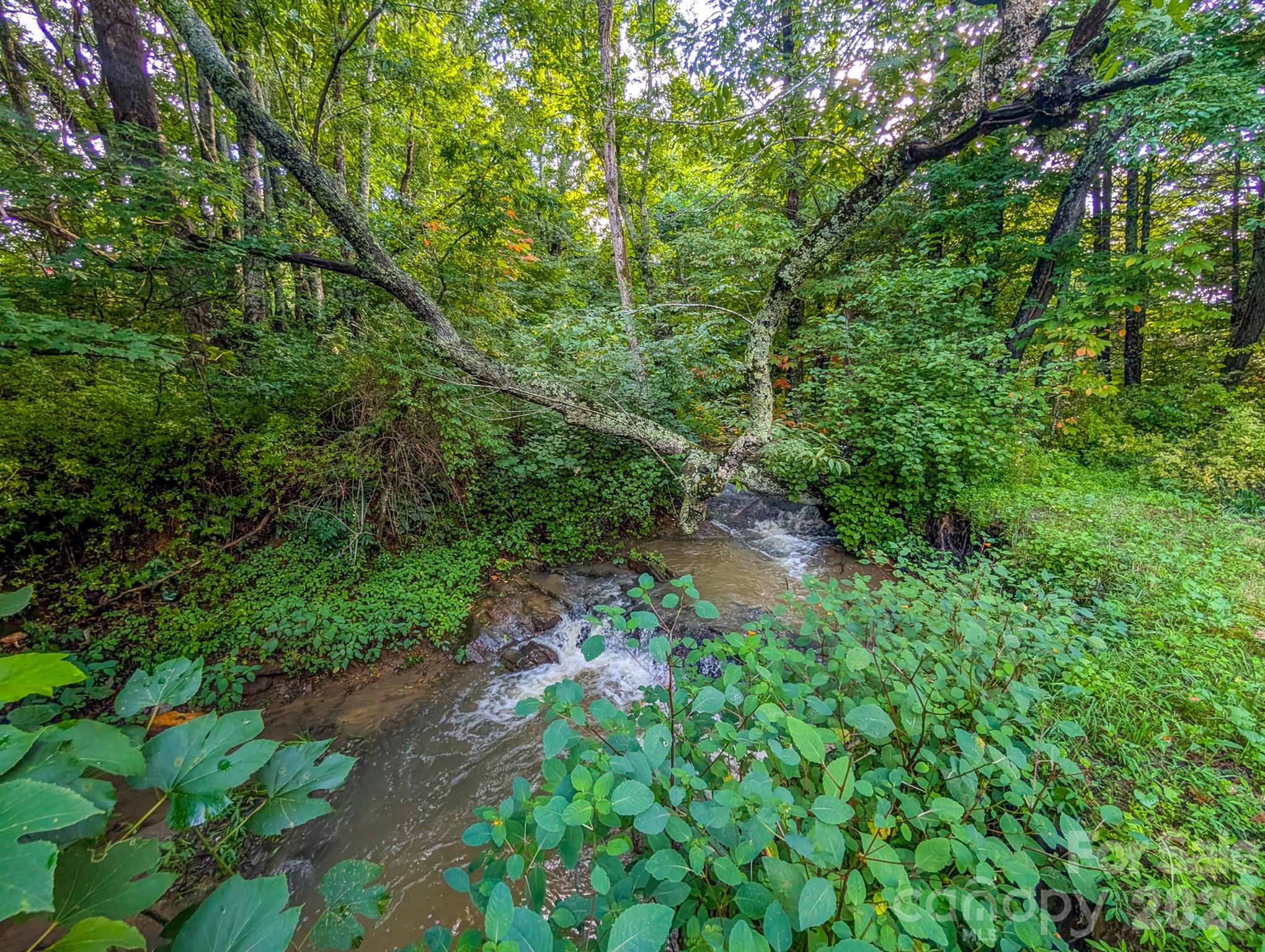 172 Lower Browns Creek Road — Burnsville