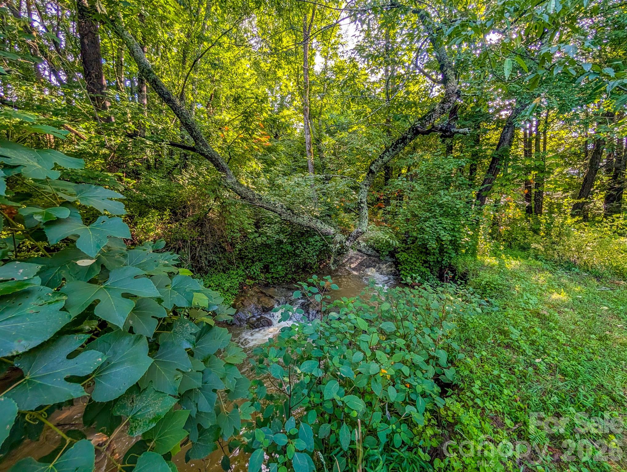 172 Lower Browns Creek Road — Burnsville