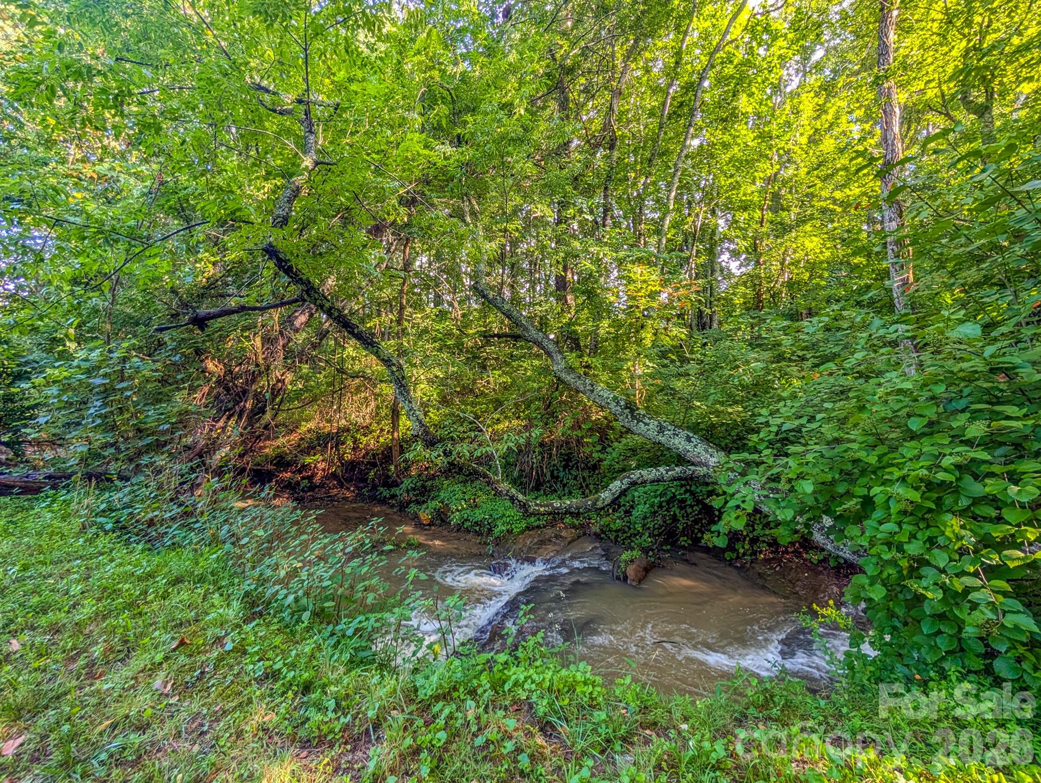 172 Lower Browns Creek Road — Burnsville