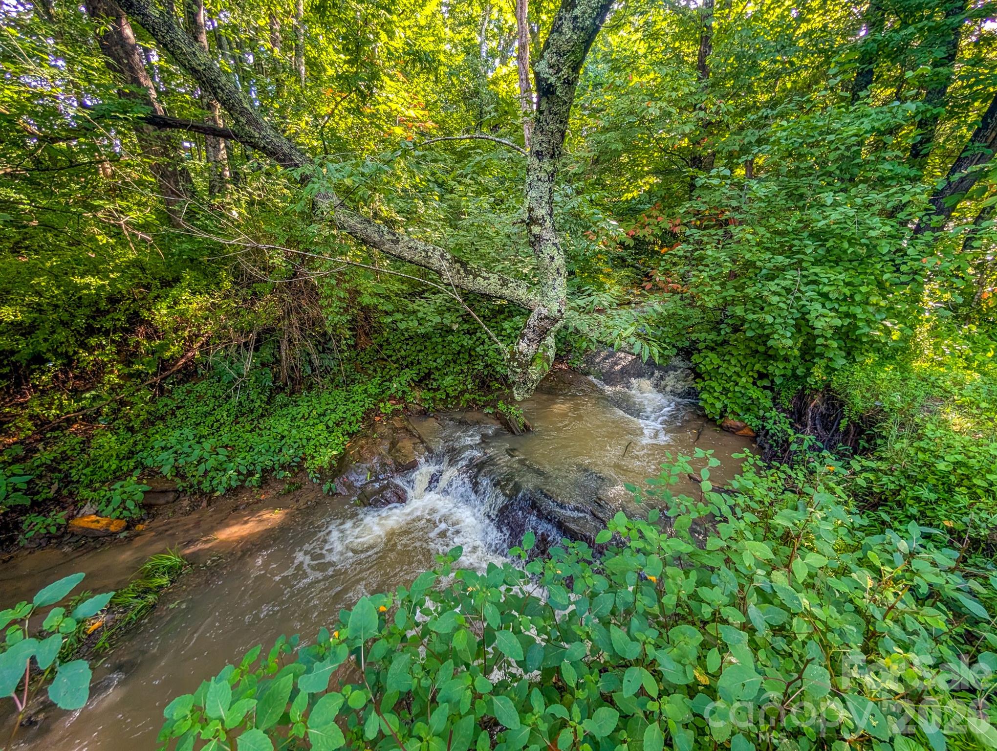 172 Lower Browns Creek Road — Burnsville