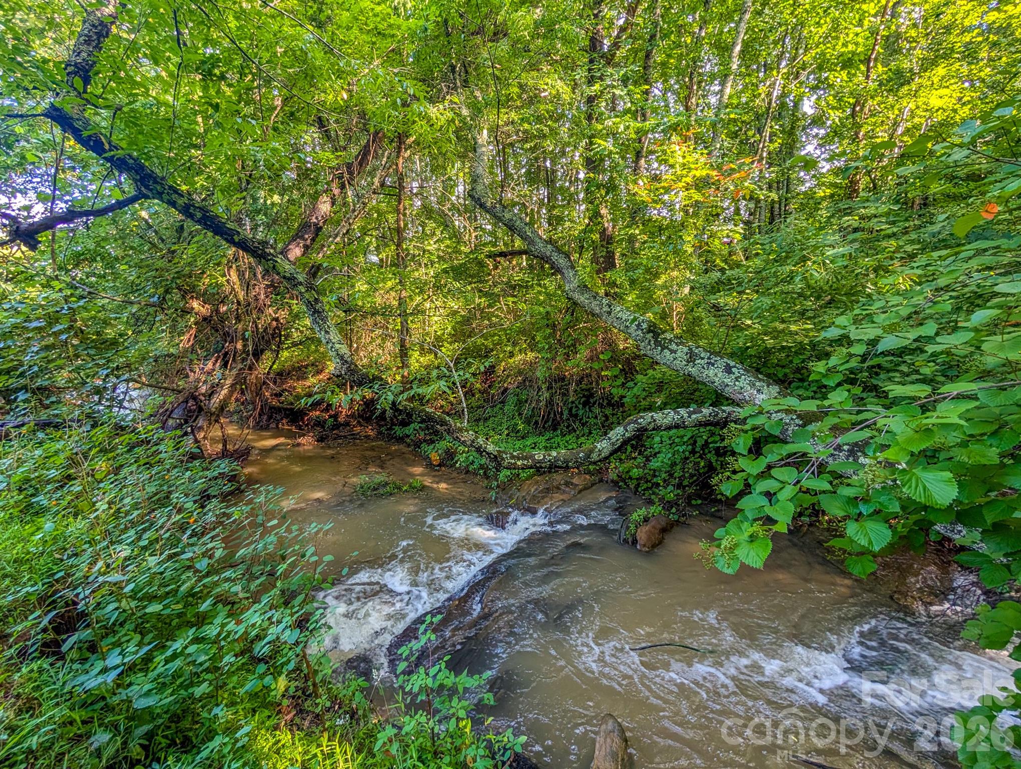 172 Lower Browns Creek Road — Burnsville