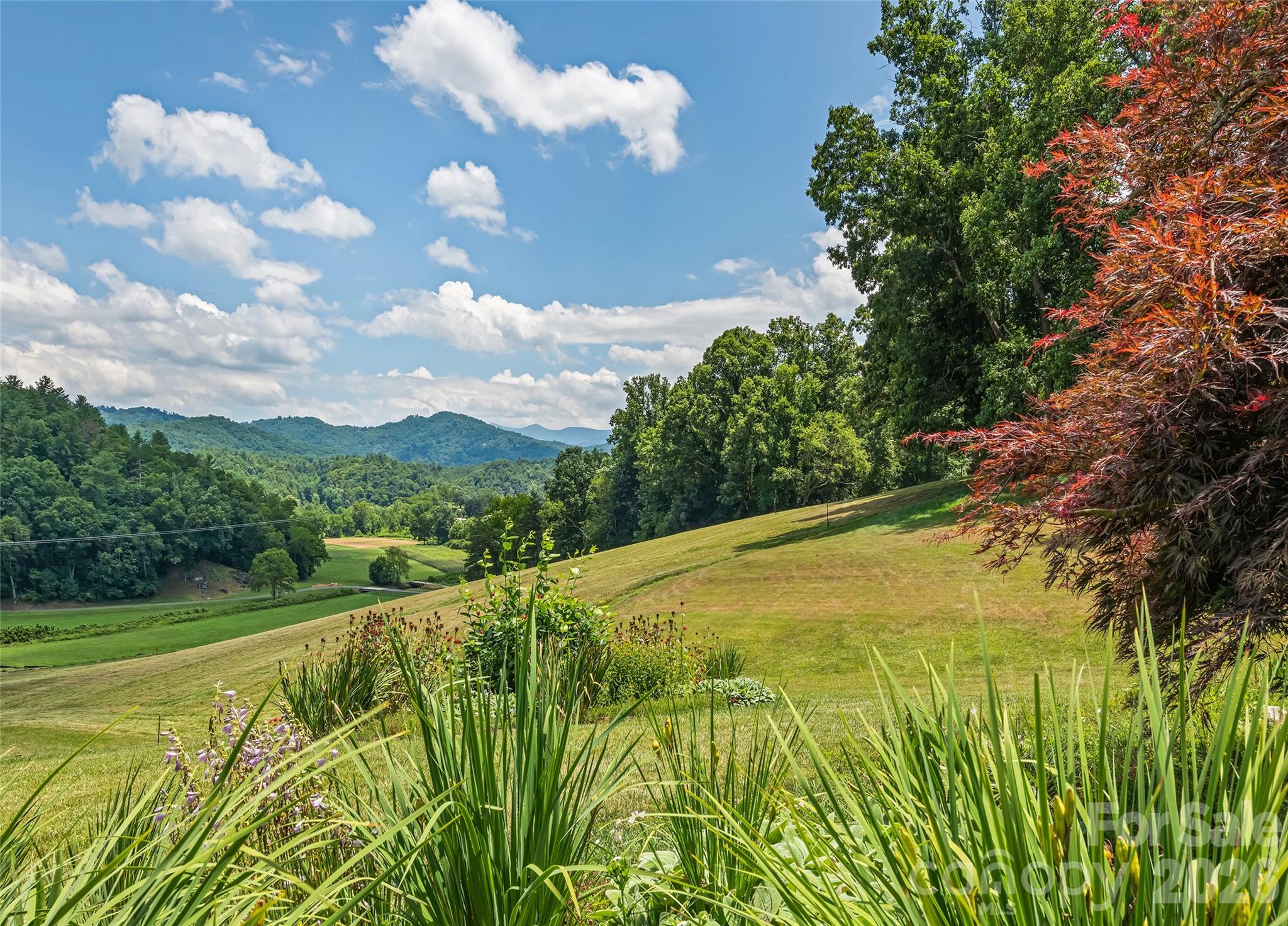 910 California Creek Road — Mars Hill