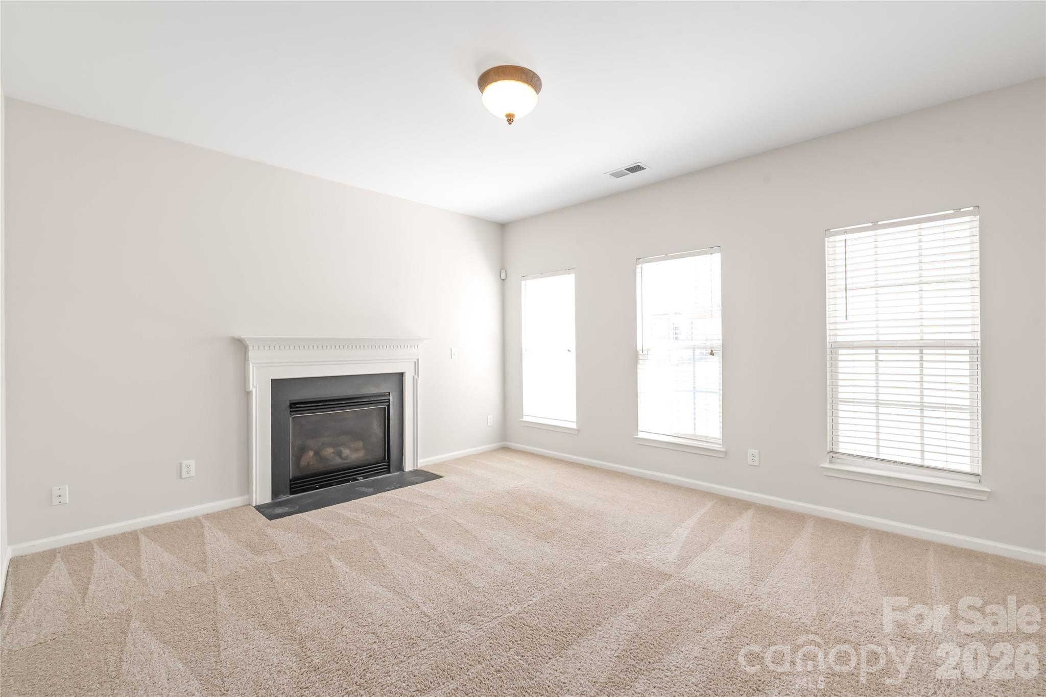 11705 Kingsley View Drive — Charlotte
