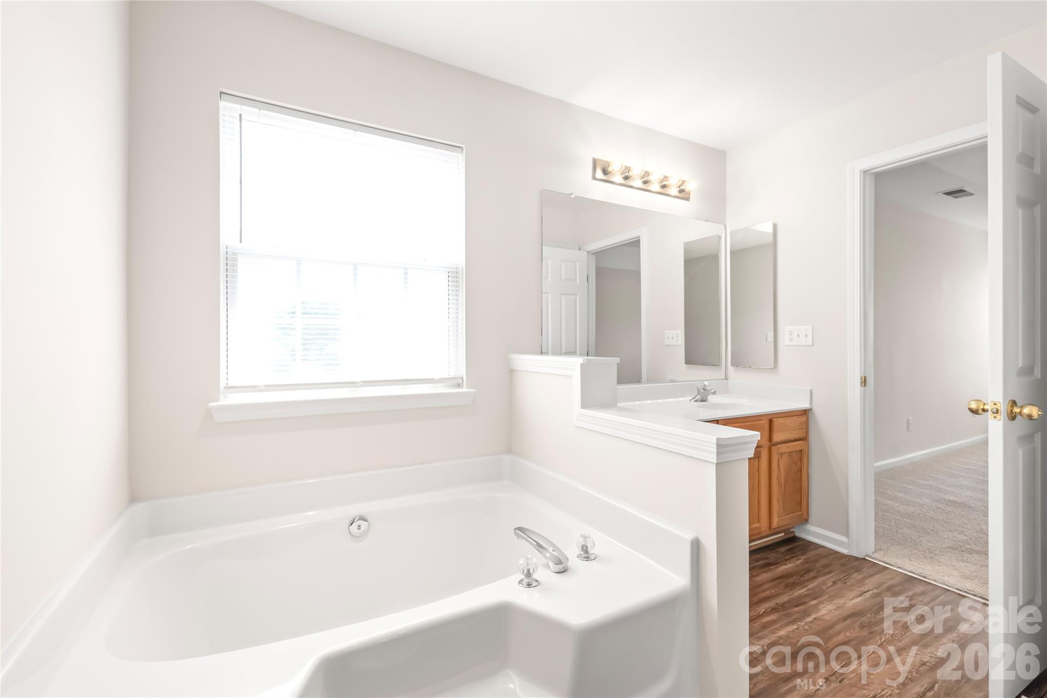 11705 Kingsley View Drive — Charlotte