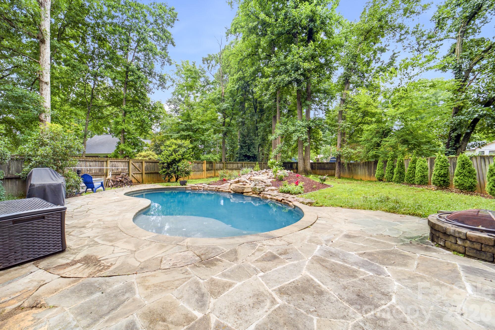 15002 Dexter Lemmond Court — Charlotte