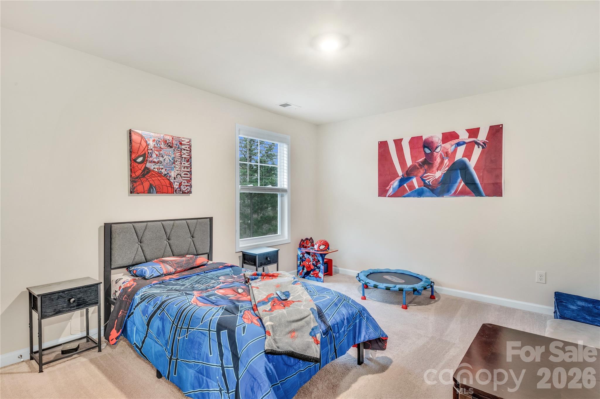 4849 Tacoma Drive — Fort Mill