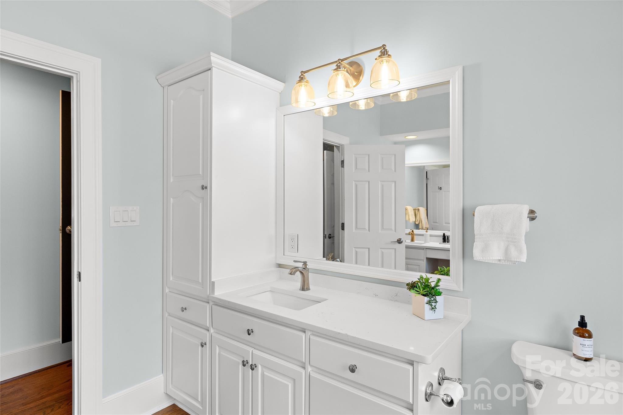 11609 Glenn Abbey Way — Charlotte