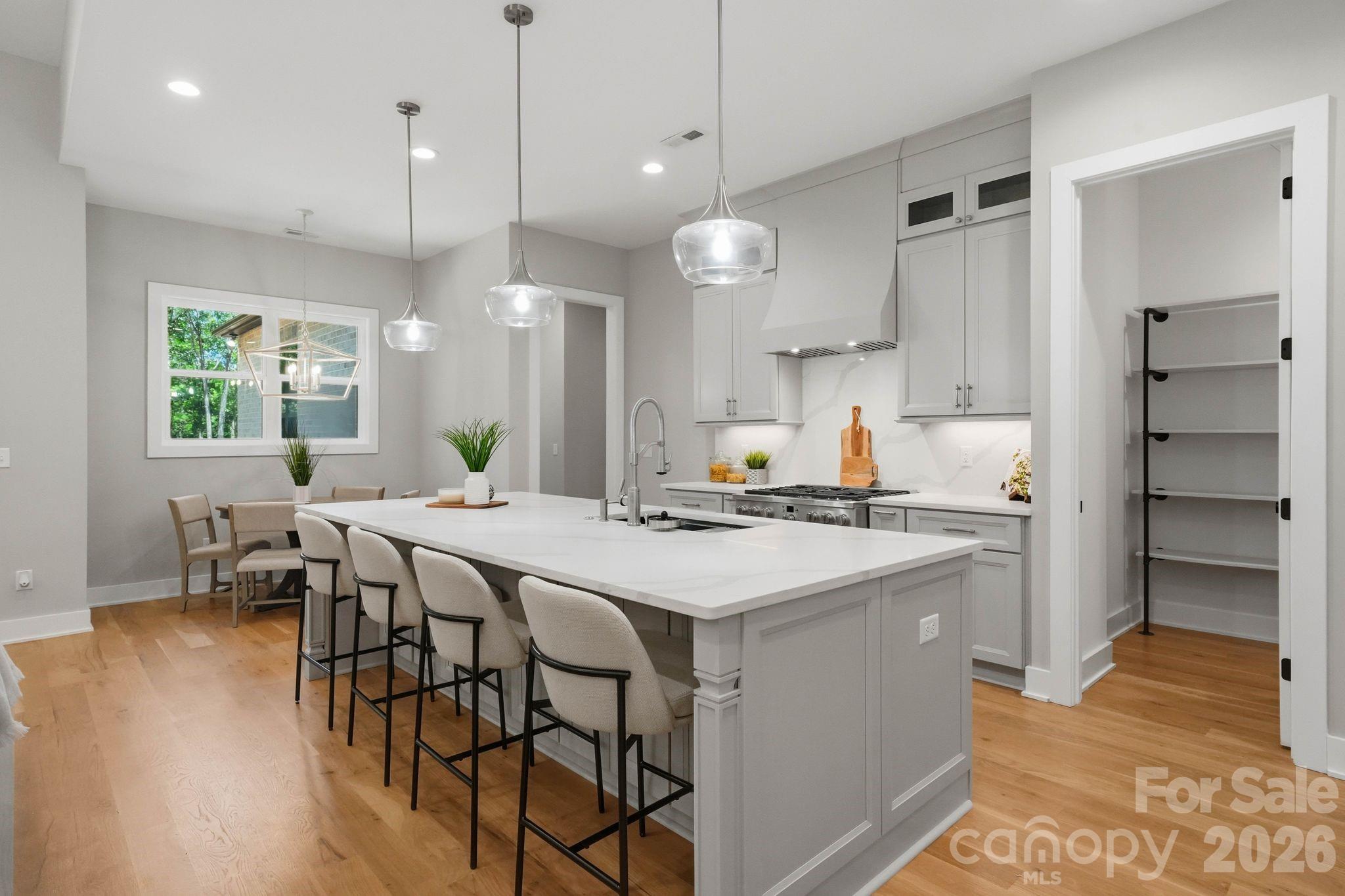 4028 Spindrift Cove Drive — Denver