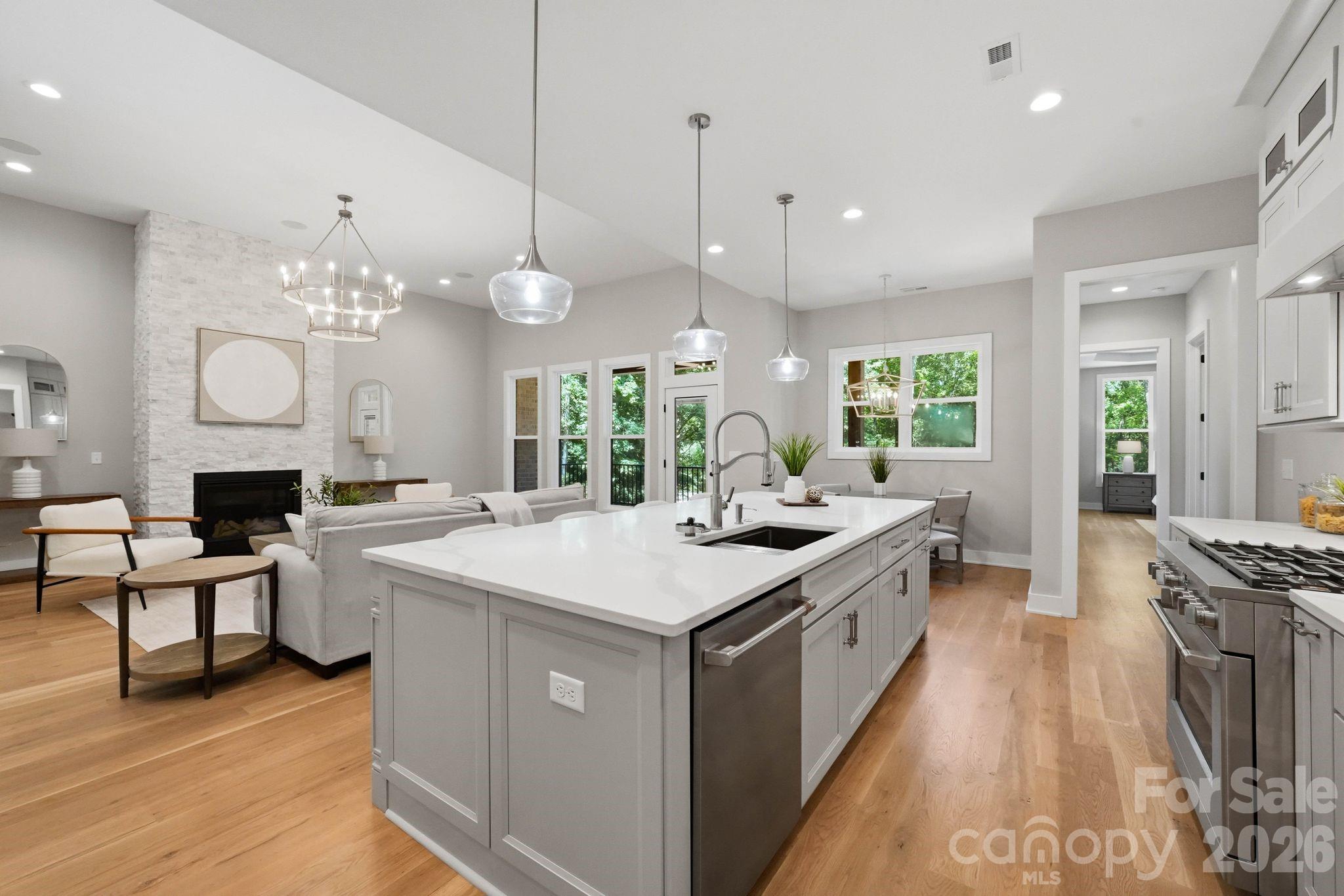 4028 Spindrift Cove Drive — Denver