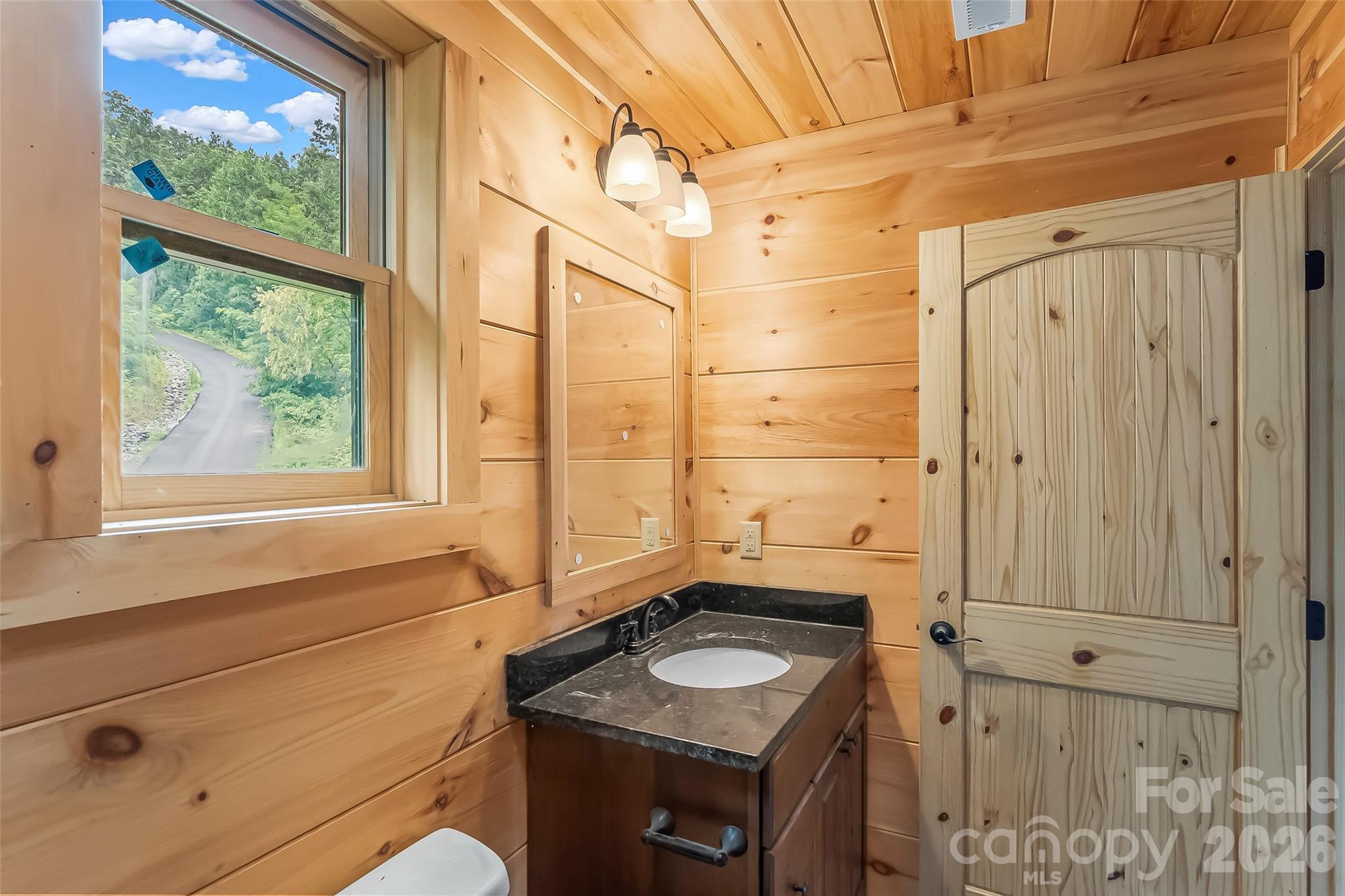 266 Potomac Falls Drive — Black Mountain