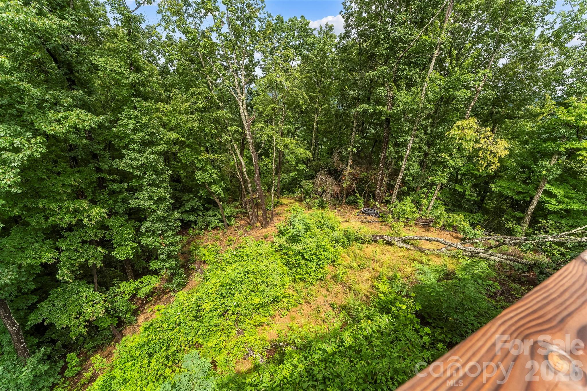 266 Potomac Falls Drive — Black Mountain