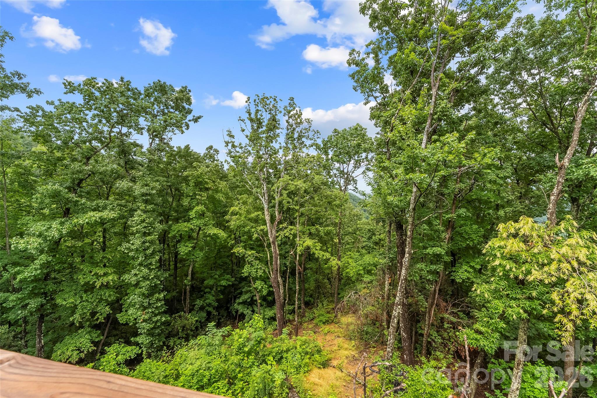 266 Potomac Falls Drive — Black Mountain