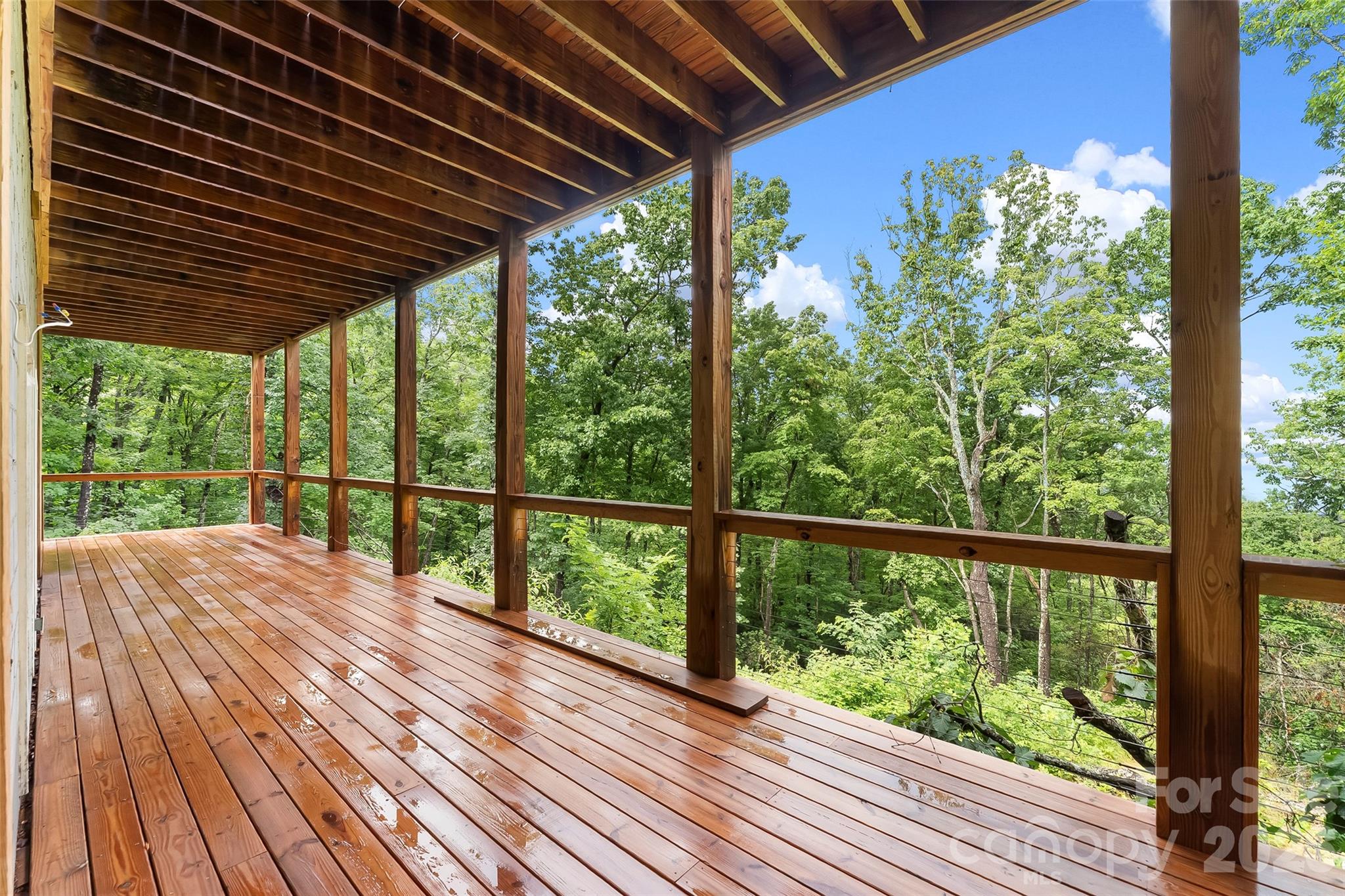 266 Potomac Falls Drive — Black Mountain