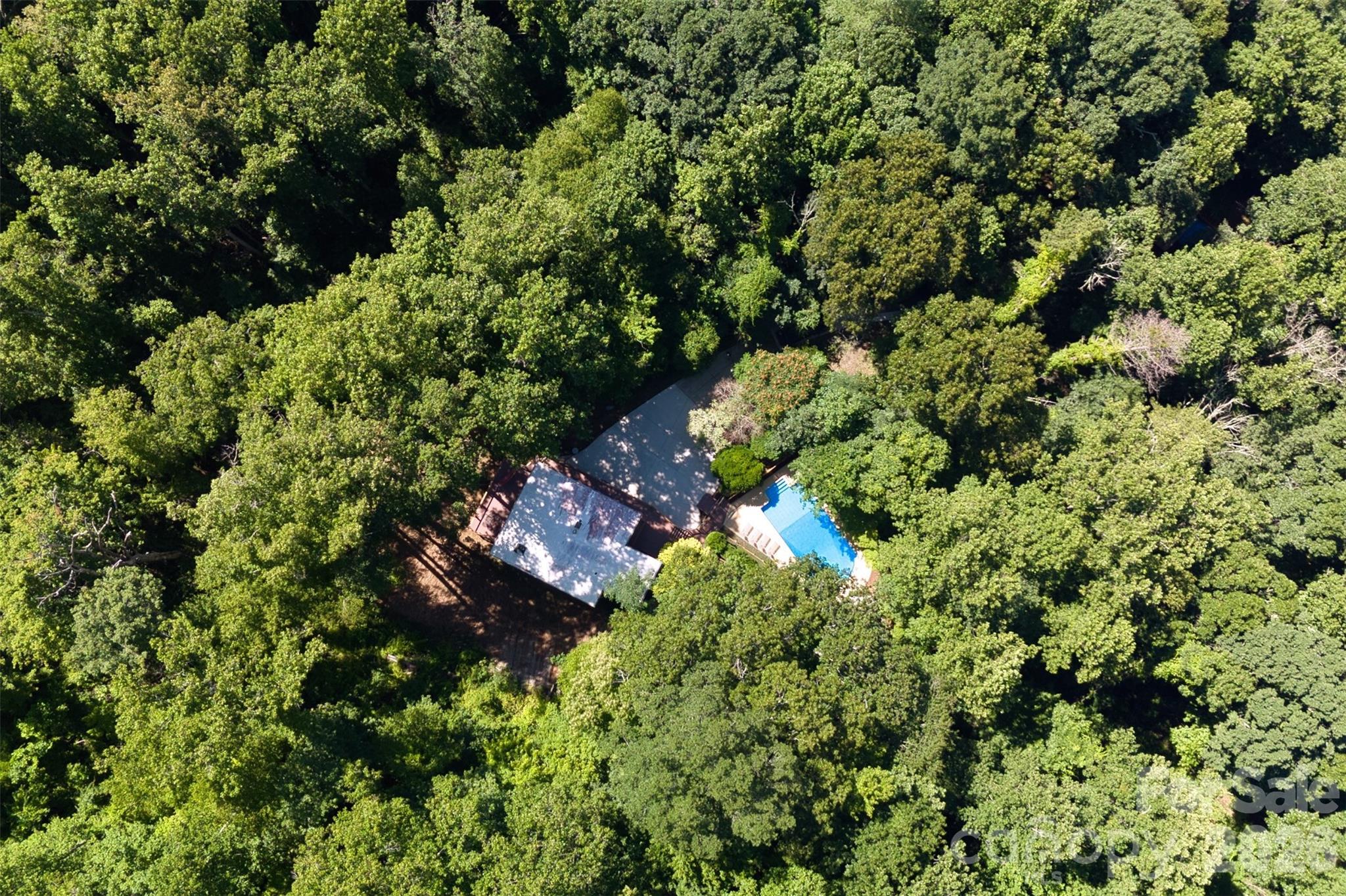 797 Merrills Cove Road — Asheville