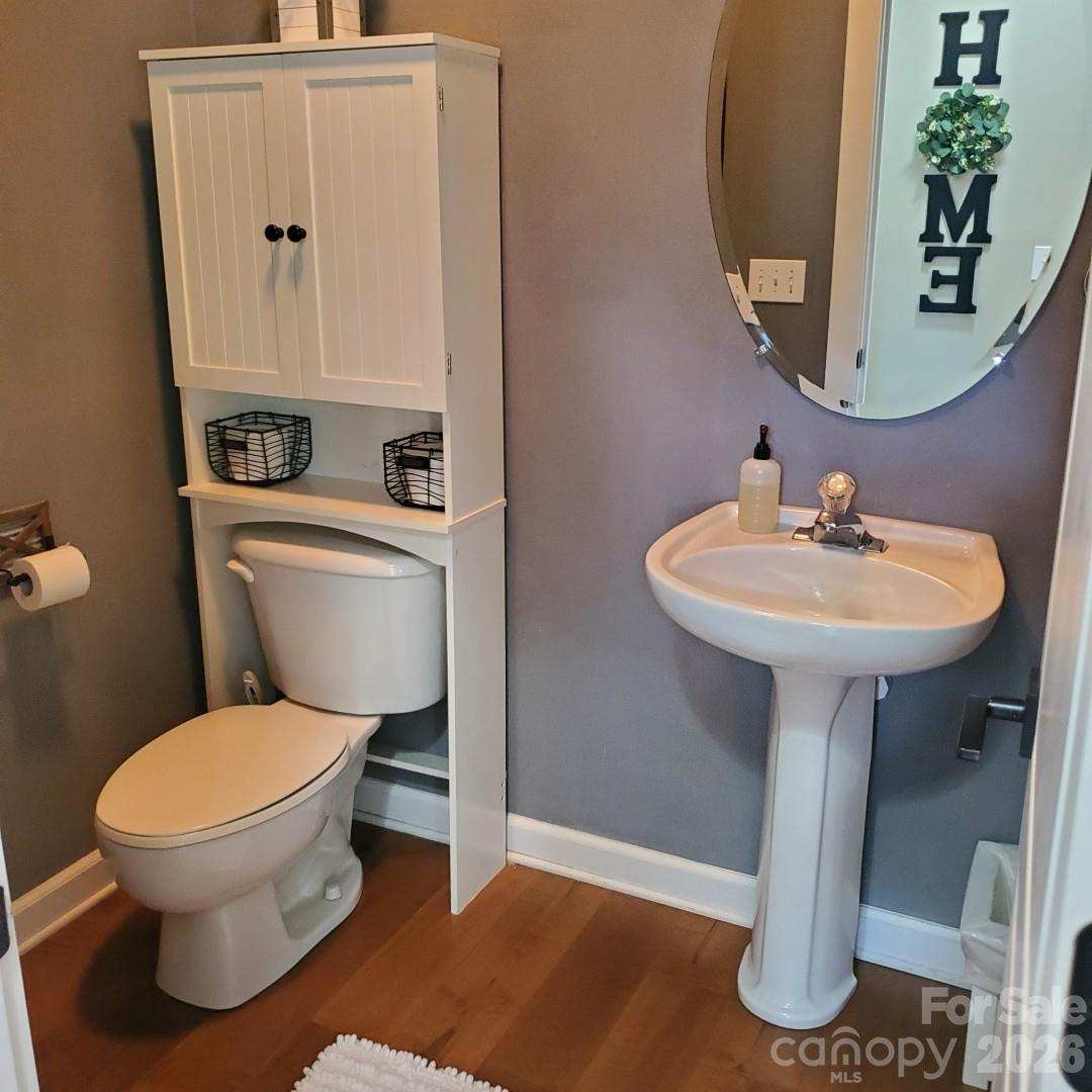 20452 Greenway Heights Drive — Cornelius